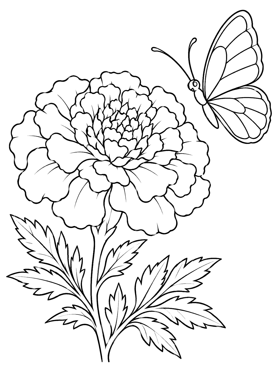 Large marigold on a leafy stem beside a separate butterfly with simple outlined wing sections.