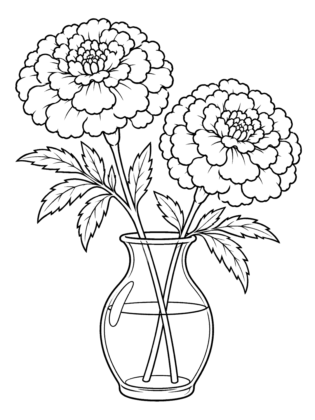 Two marigold blooms and leafy stems in a clear vase coloring page
