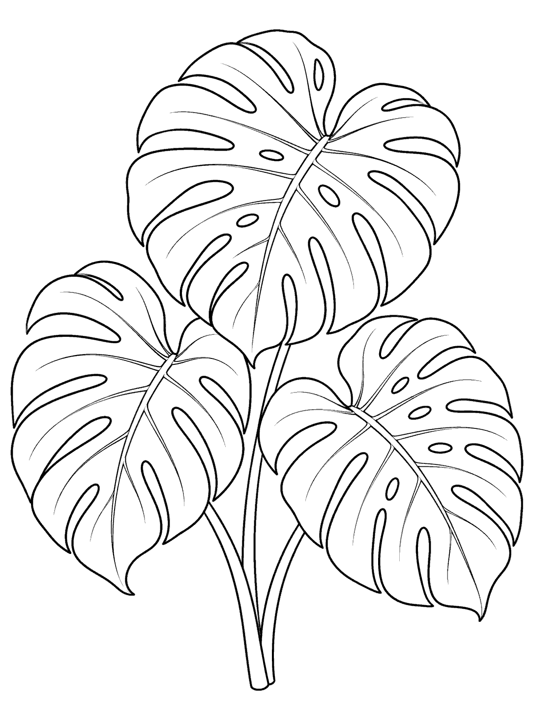Monstera leaf cluster coloring page with three large, overlapping leaves in black outline.