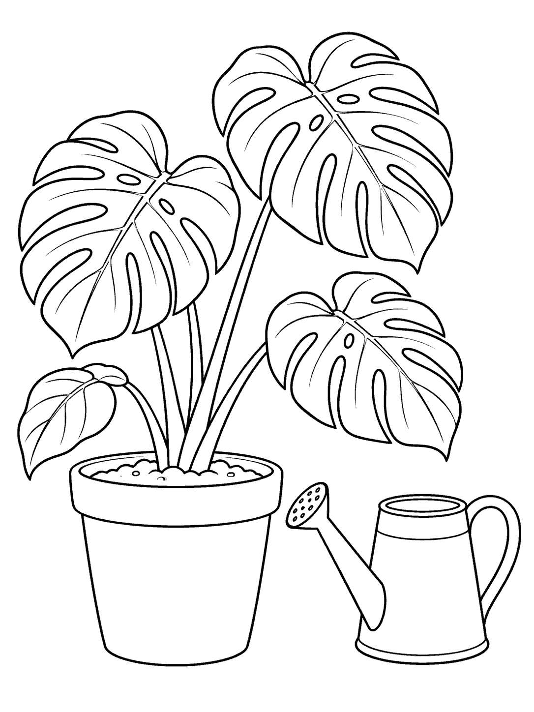 Potted monstera with large split leaves beside a watering can coloring page