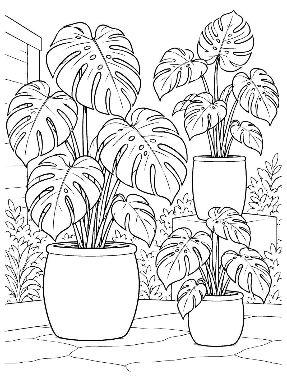 Black-and-white coloring page showing three potted monstera plants at different heights among garden foliage.