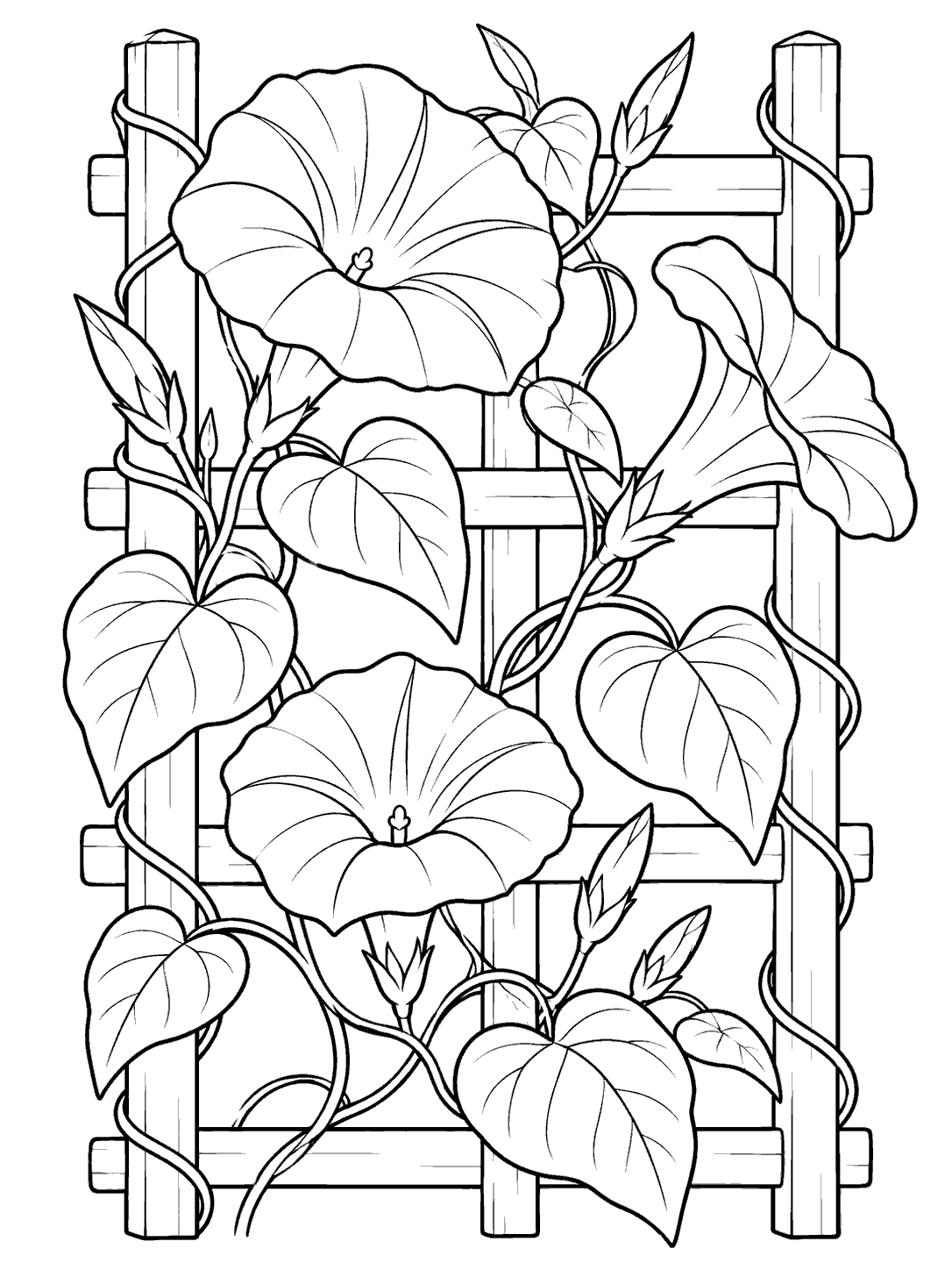 Black-and-white morning glory coloring page with three trumpet-shaped flowers, buds, and heart-shaped leaves climbing a lattice trellis.
