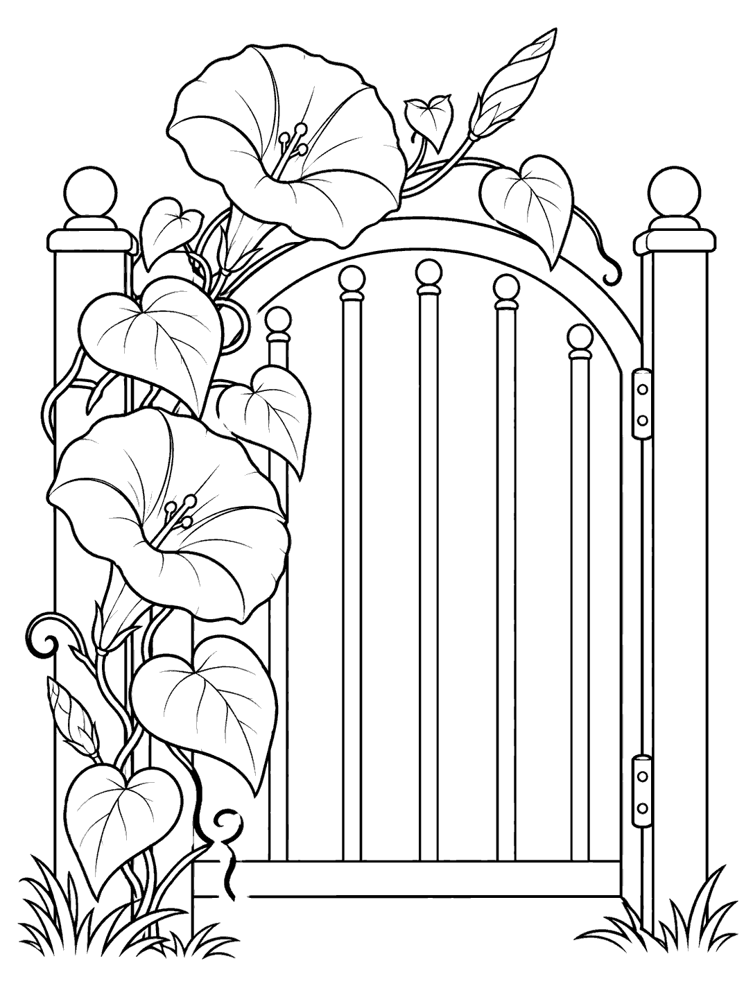 Black-and-white coloring page of a rounded garden gate with two trumpet-shaped morning glory blooms, leaves, and curling vines along one side.