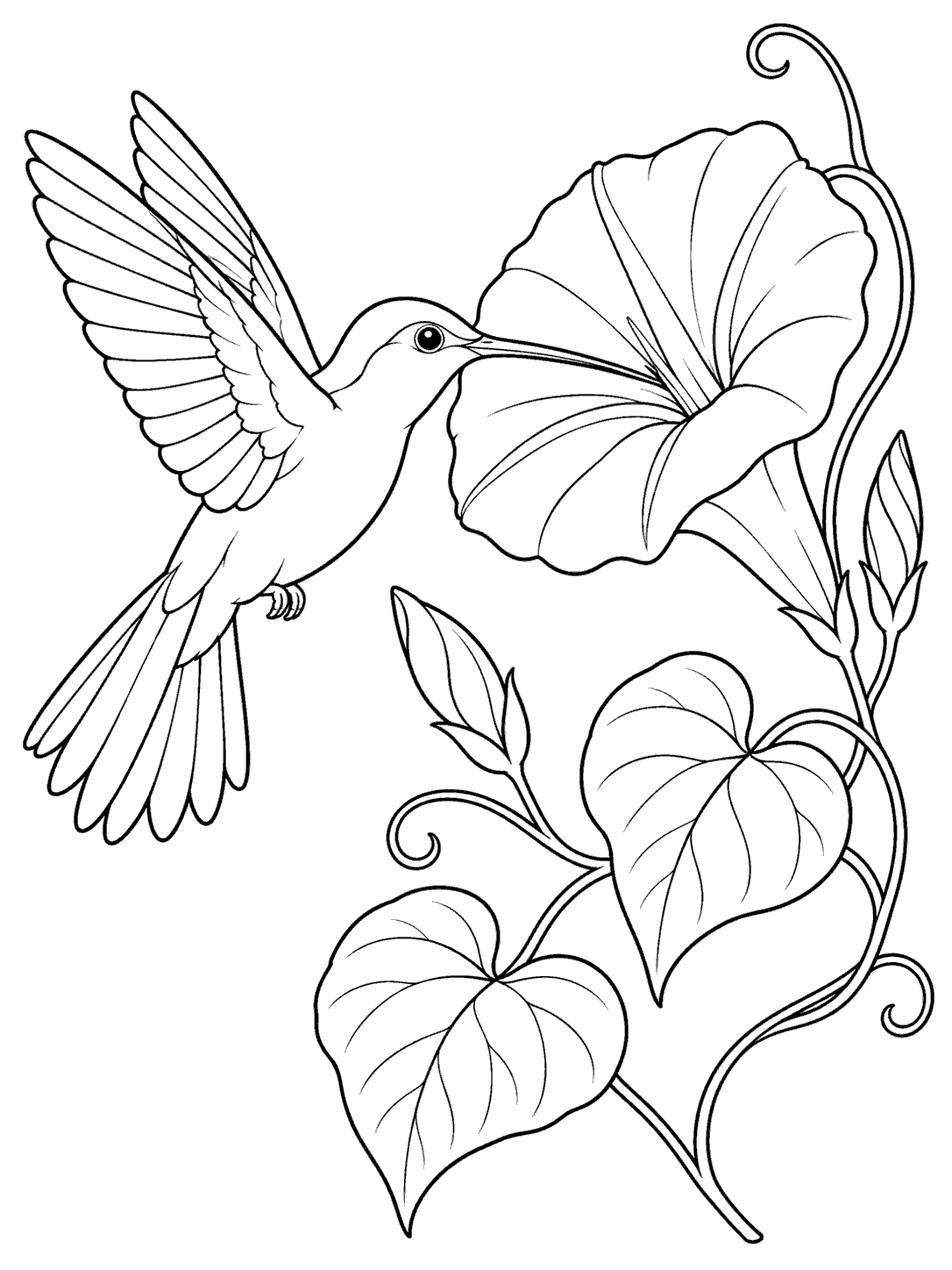 A hummingbird in profile hovers beside a large morning glory, surrounded by curling vines, two buds, and heart-shaped leaves in a black-and-white coloring page.