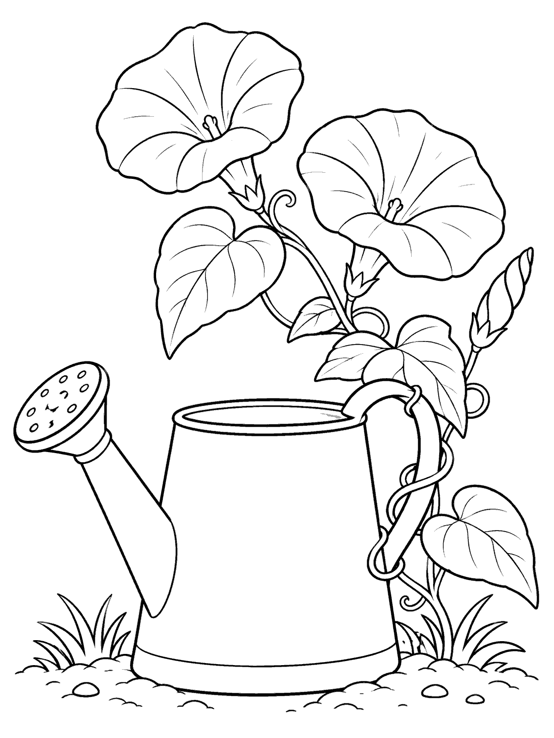 Morning glory vine with two open flowers and leaves curling around a blank watering can, drawn as a black-and-white coloring page.