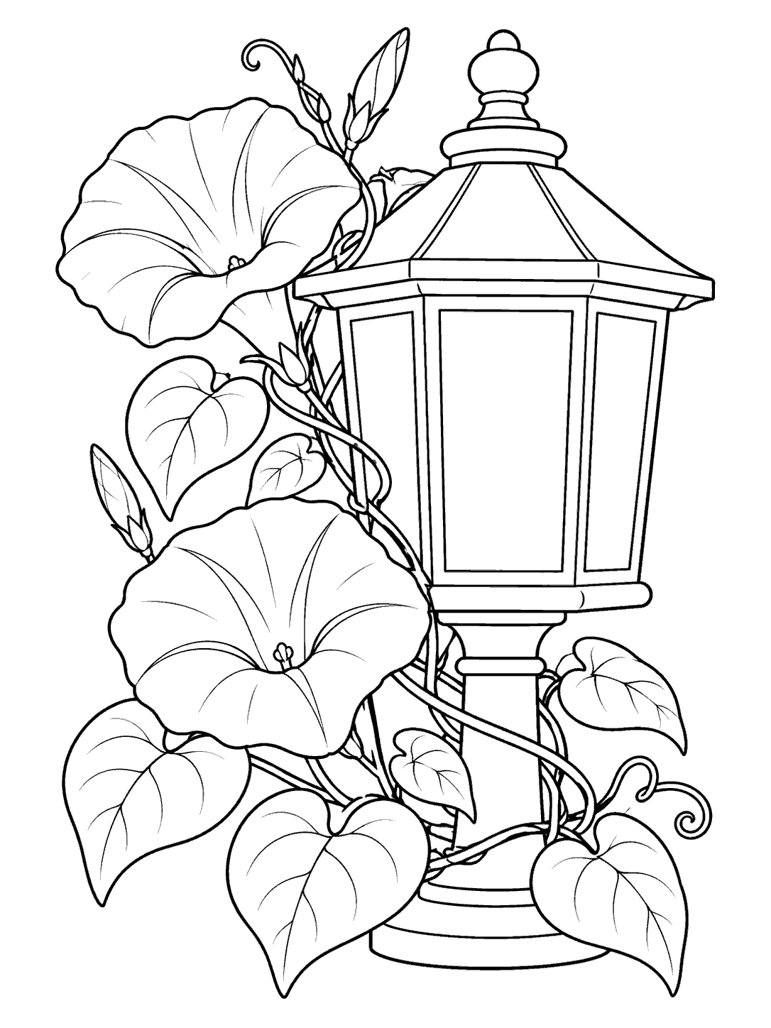 Black-and-white coloring page showing a garden lantern wrapped in morning glory vines, with two trumpet flowers and heart-shaped leaves.