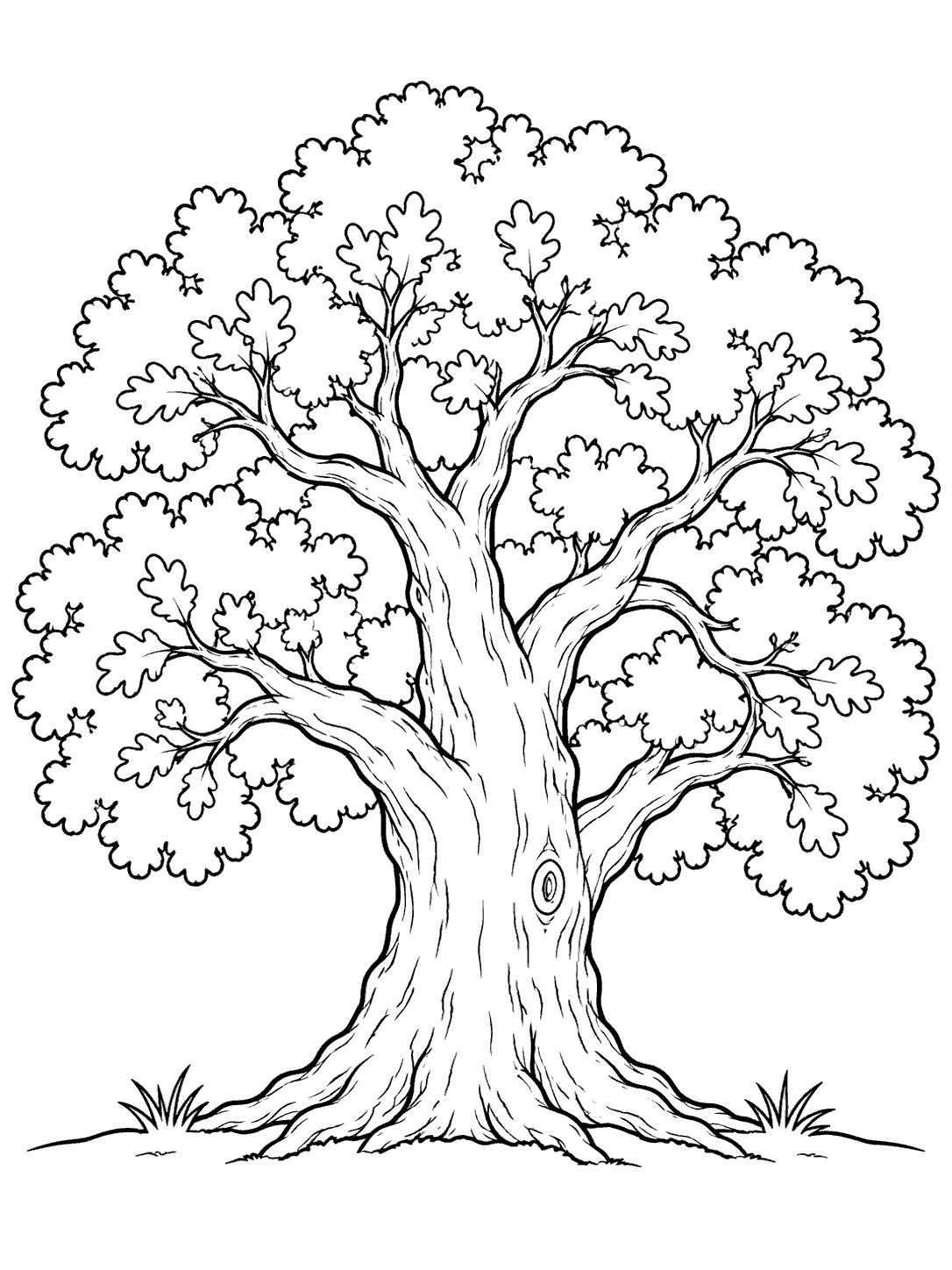 A large oak tree with a thick branching trunk, rounded leafy canopy, and two tufts of grass.