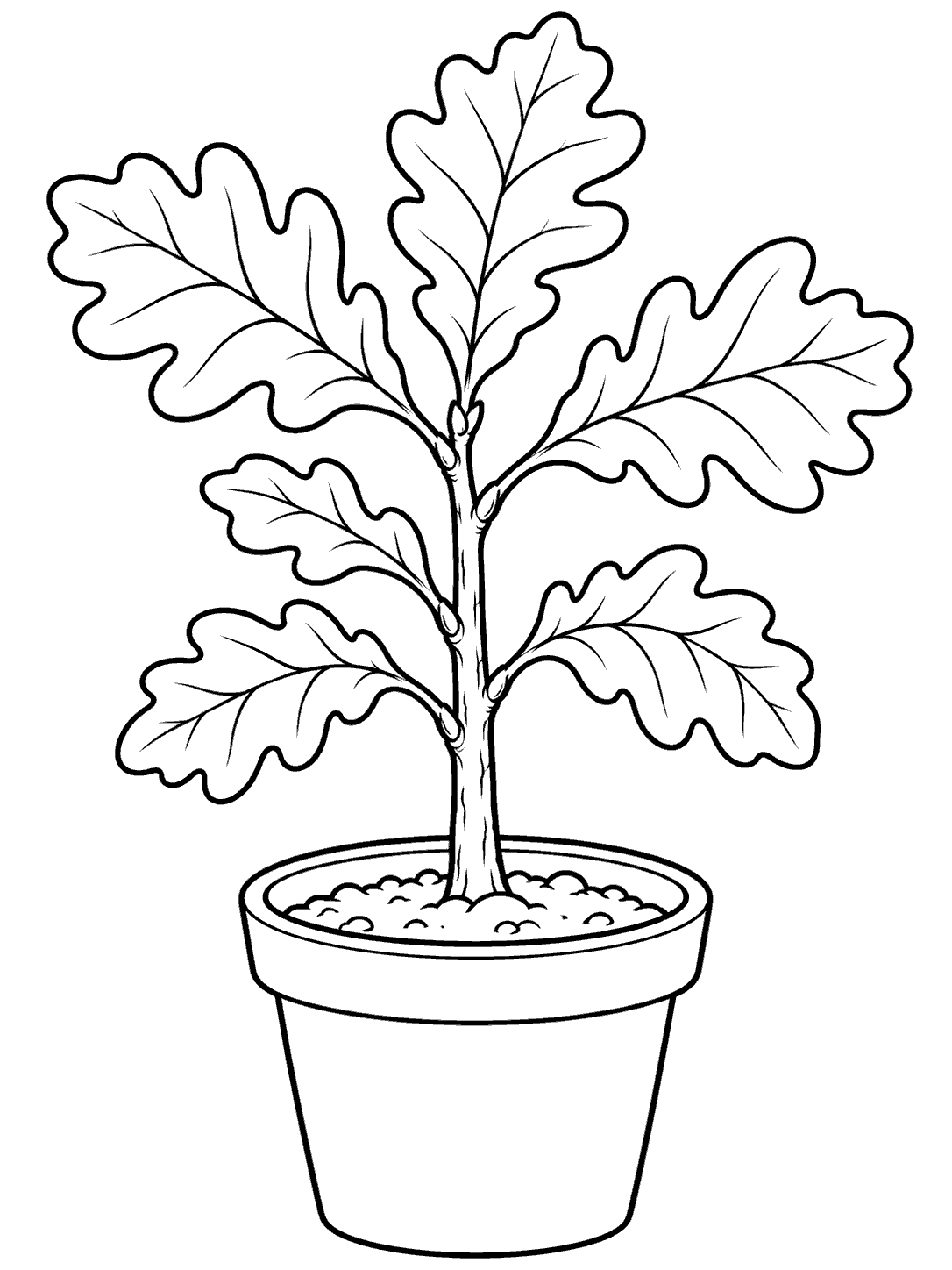 Black outline coloring page of a young oak sapling with a slender trunk and several lobed leaves in a simple nursery pot