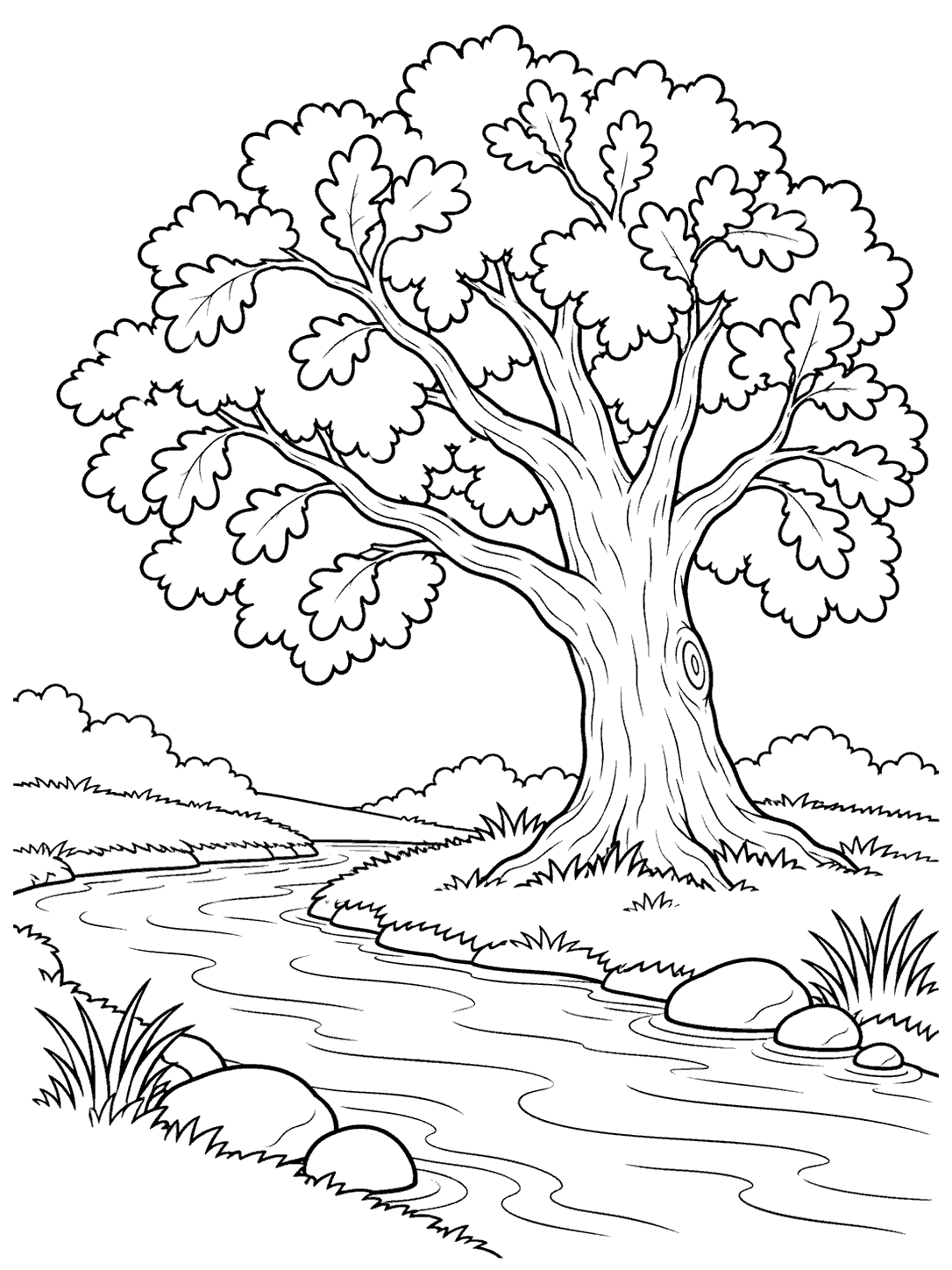 A large leafy oak beside a winding creek, with rounded stones and grass tufts along the banks.
