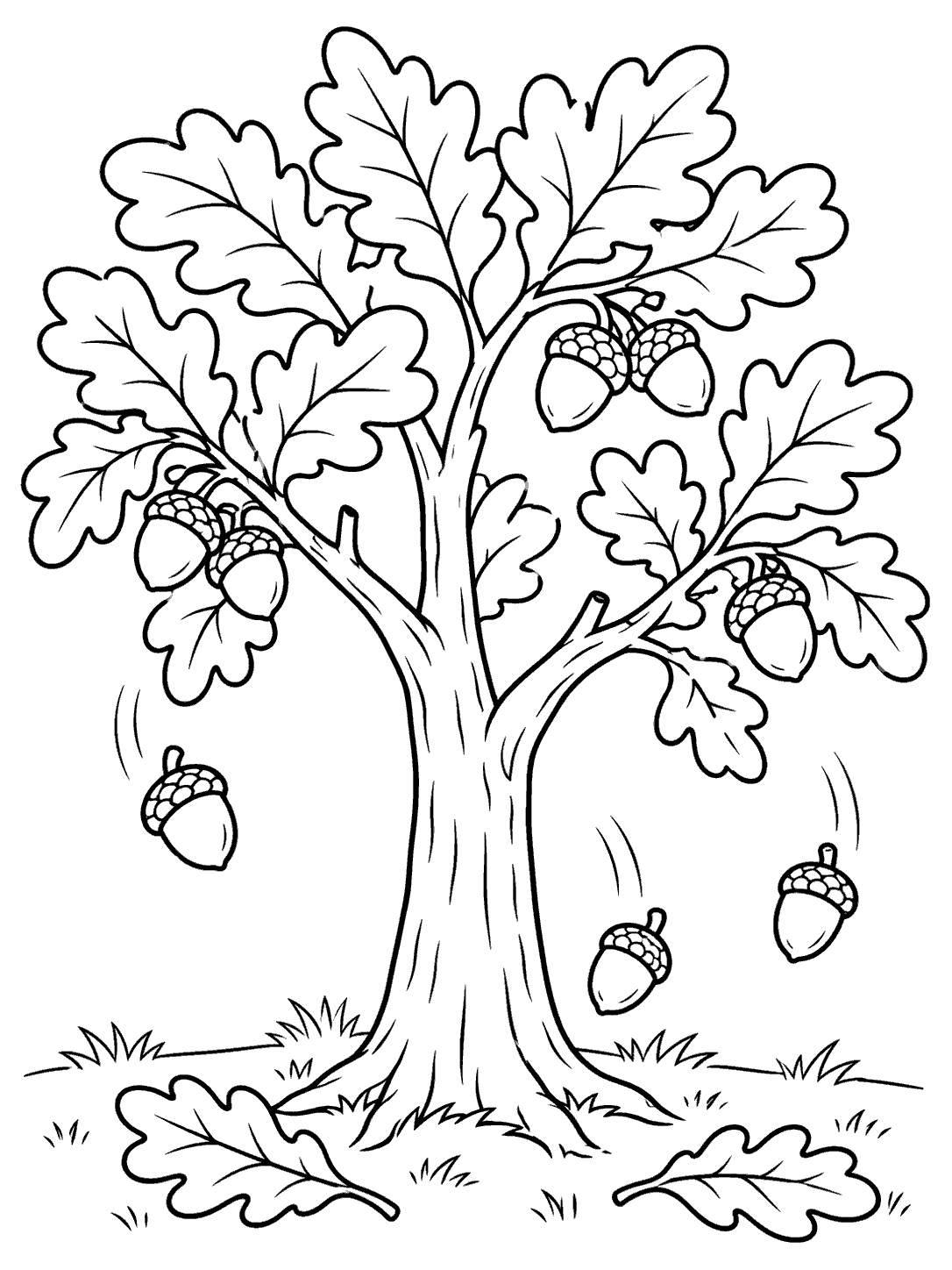 A leafy oak tree with acorns among its branches, three acorns falling, and two oak leaves on the ground.