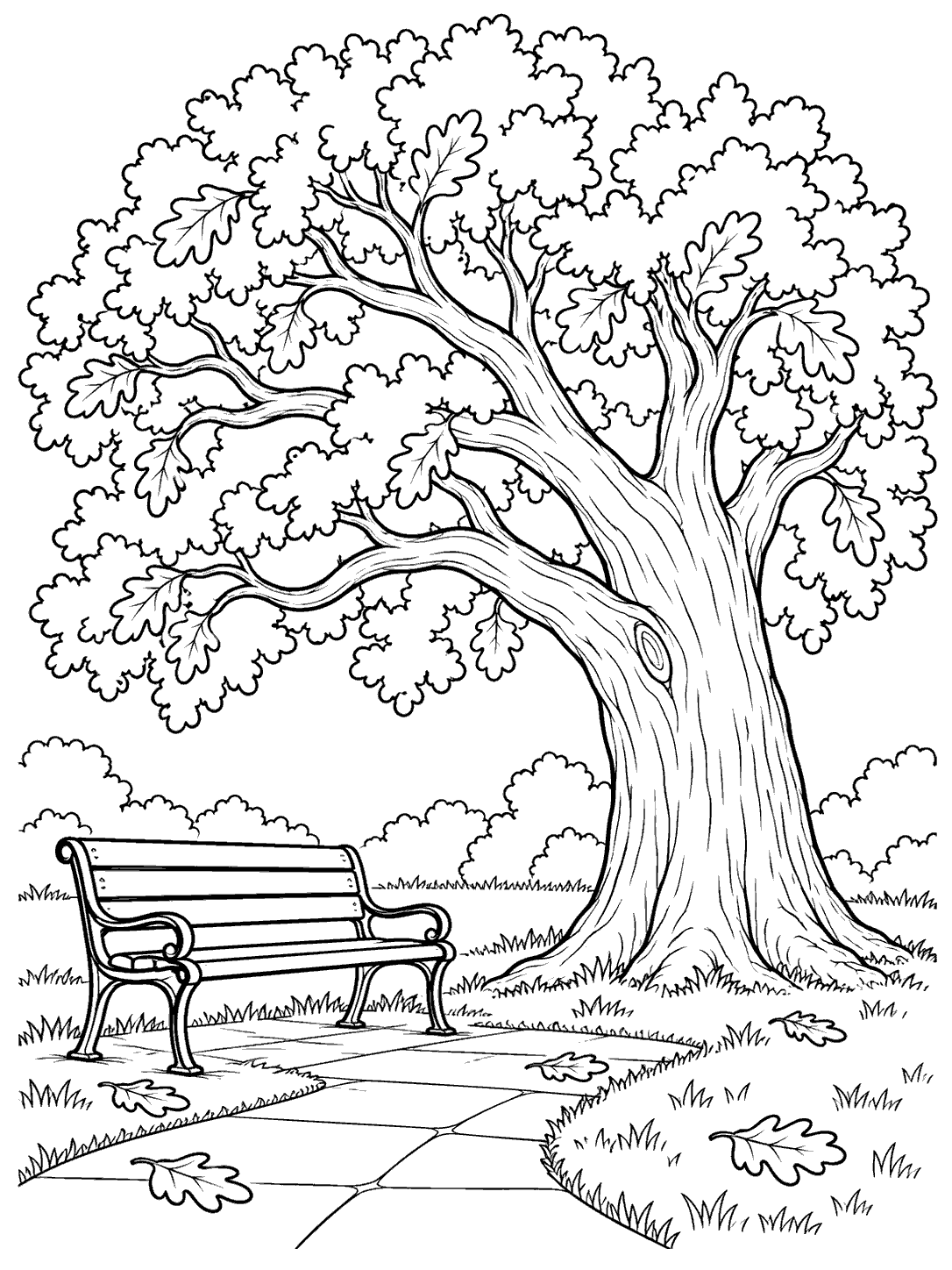 Large park oak beside a plain wooden bench, with a paved path, grass, and fallen oak leaves.