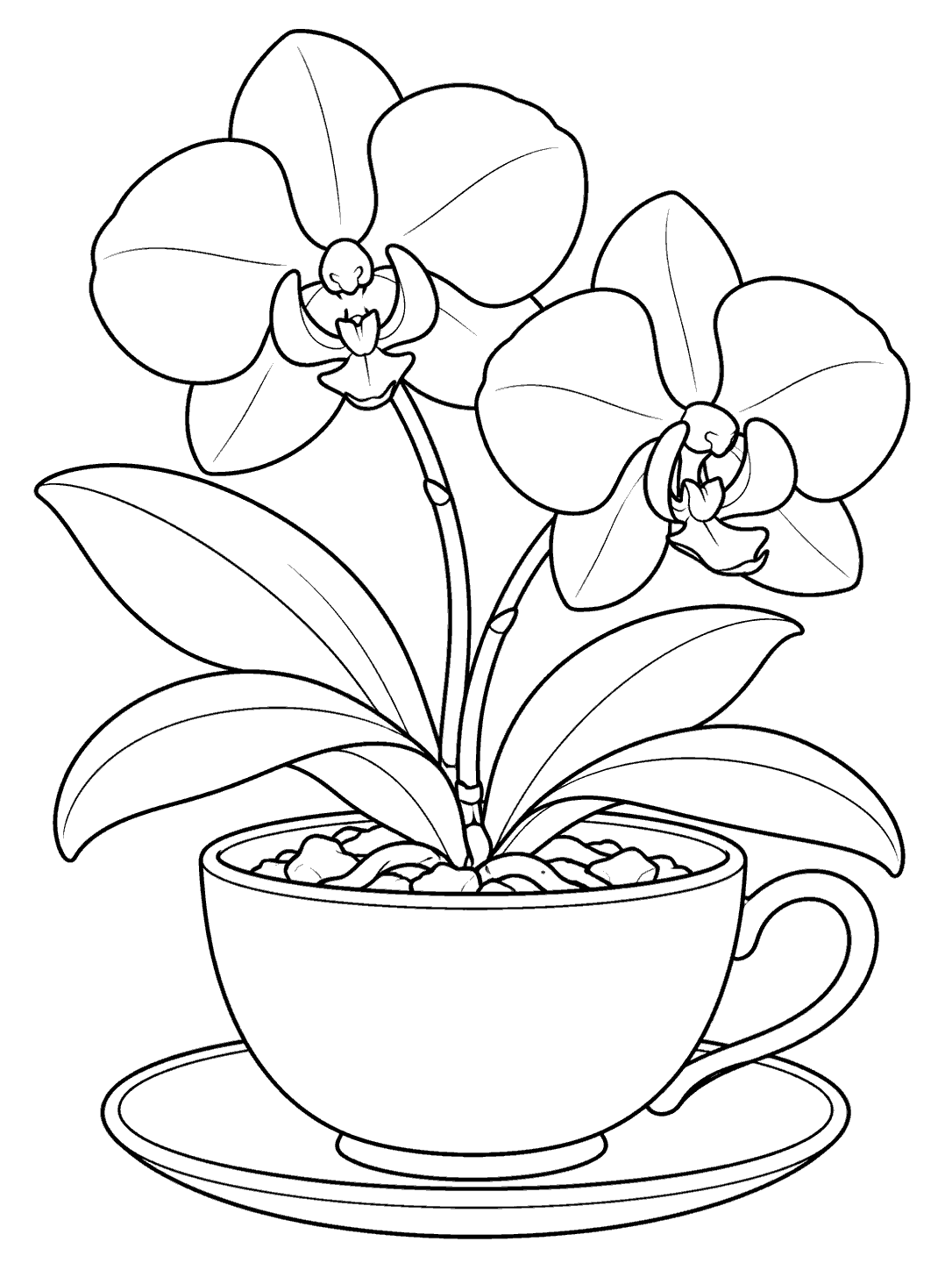 Two prominent orchid blossoms and broad leaves growing from a handled teacup on a saucer.