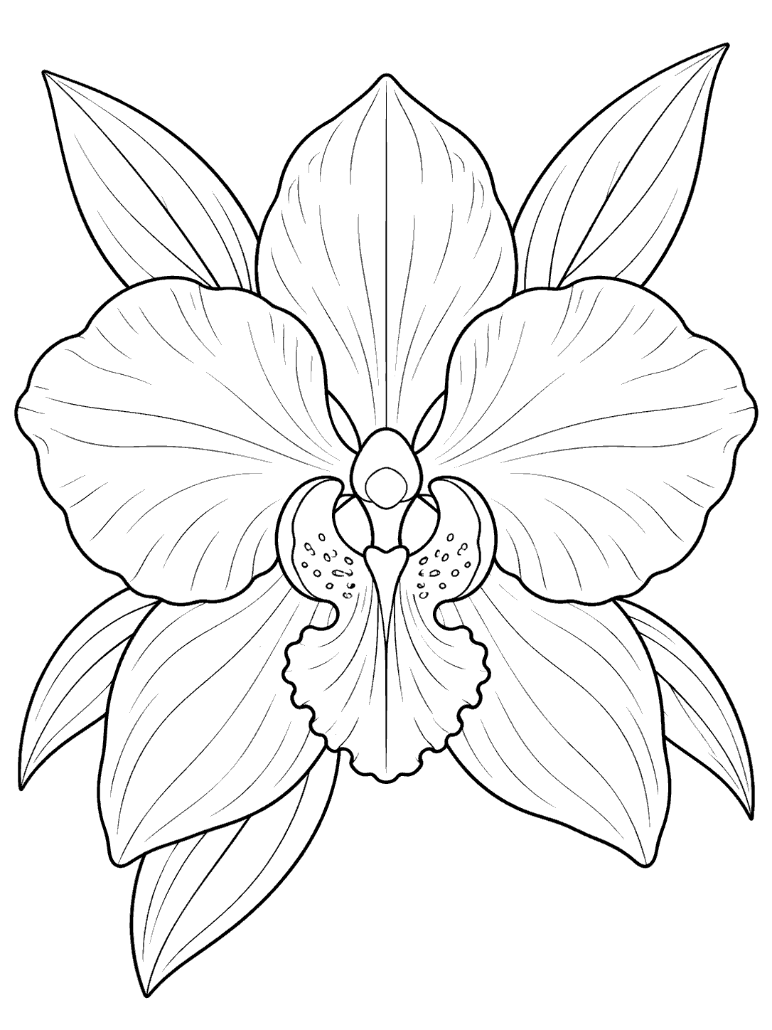 Centered top-down orchid bloom with broad petals, a detailed center, and radiating leaves in black outlines.
