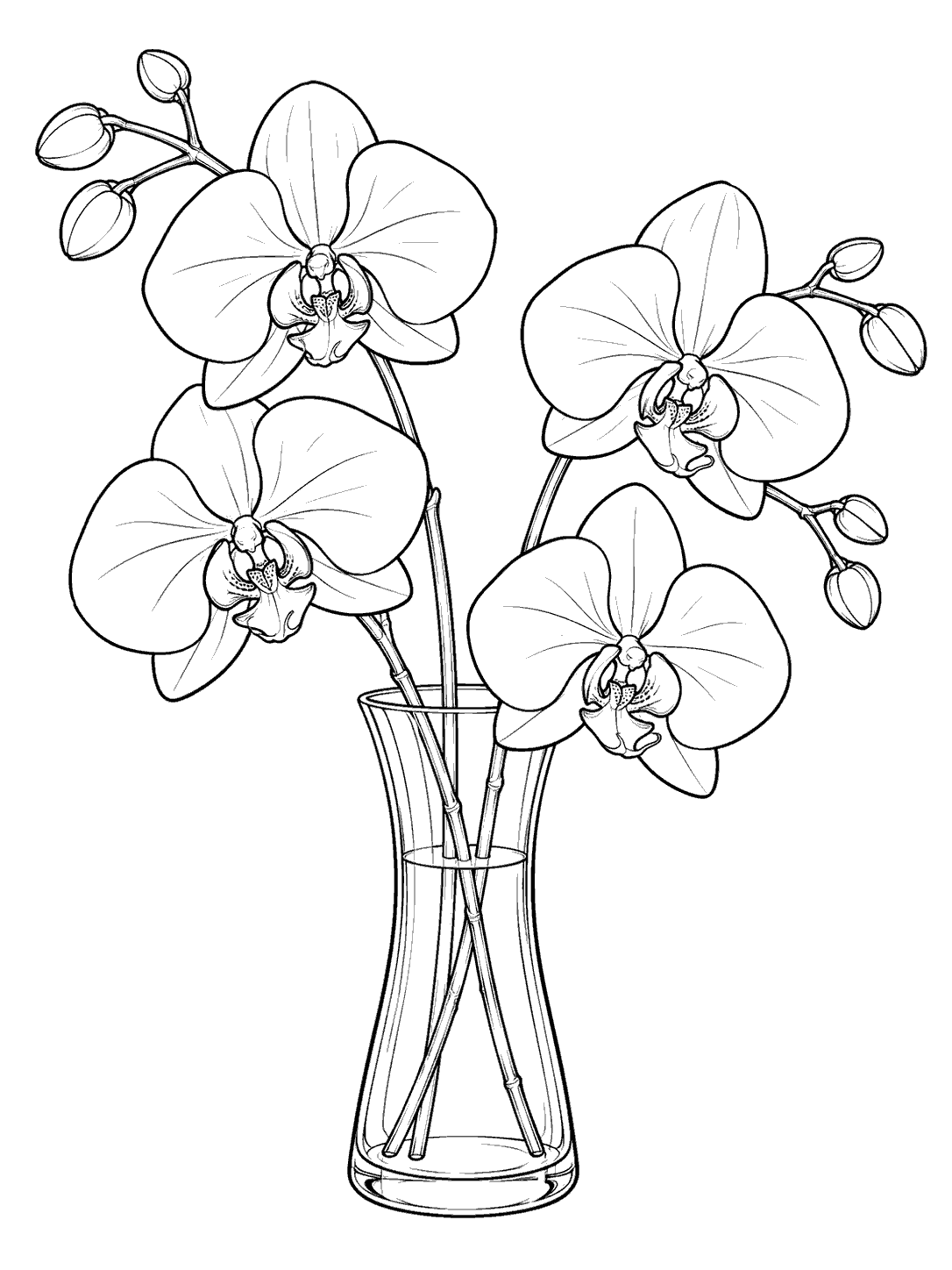Four outlined orchid flowers and buds arranged on two stems in a tall, gently flared glass vase.
