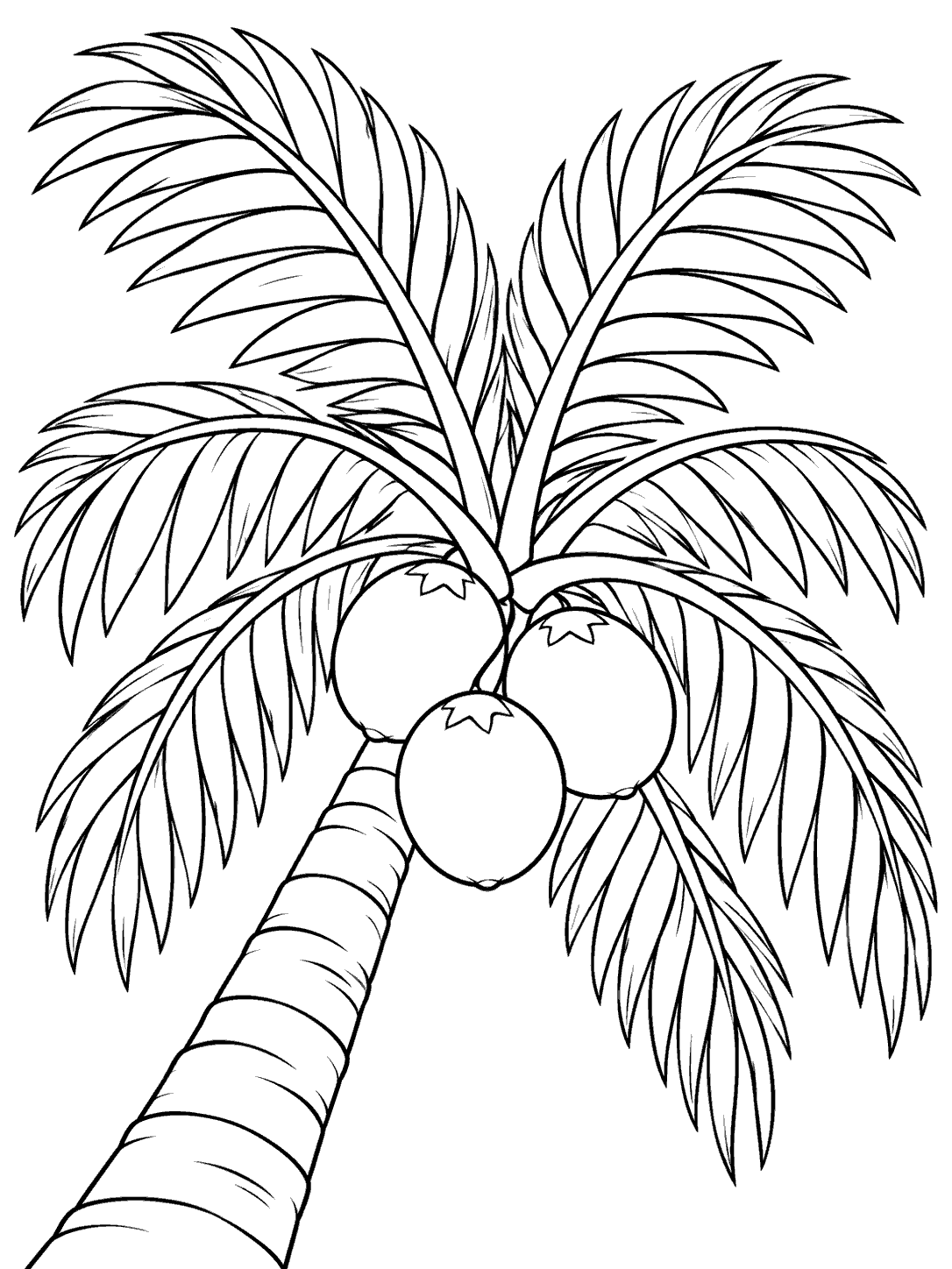 Black outline coloring page of three coconuts nestled under a palm crown with long radiating fronds and a curved trunk.