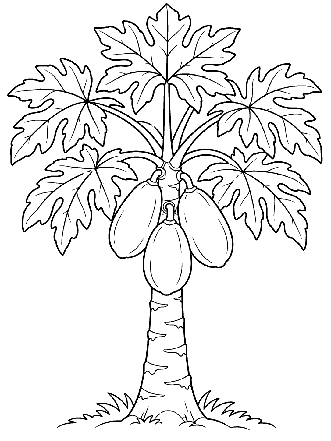 Black-outline papaya tree with broad lobed leaves and three oval fruits coloring page