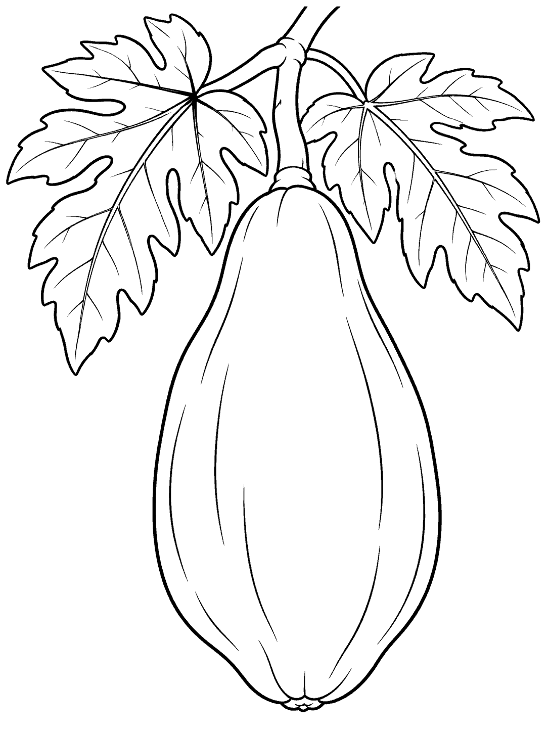 Large hanging papaya with two lobed leaves coloring page