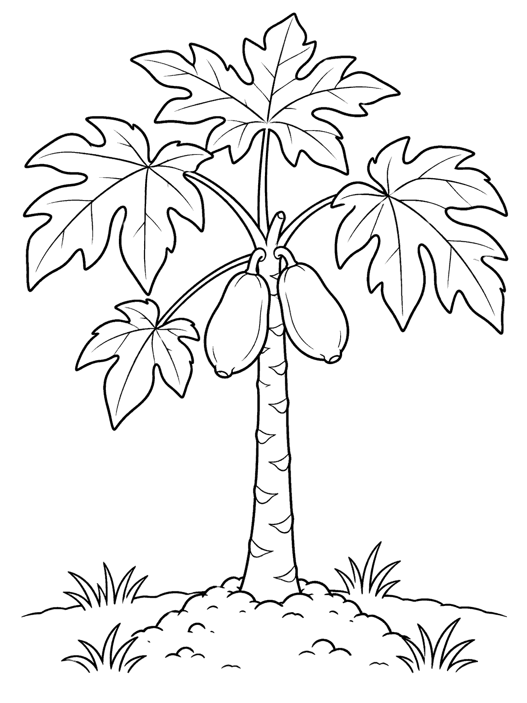 Young papaya plant with two fruits, broad lobed leaves, soil mound, and grass tufts in a coloring page.