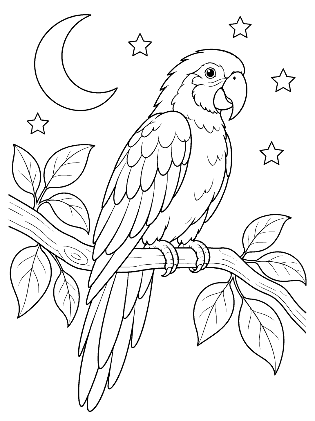 Black outline parrot perched on a leafy branch beneath a crescent moon and five outlined stars