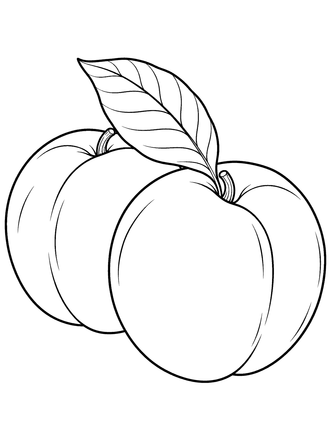 Black-and-white line art of two whole peaches touching beneath a large veined leaf, on a white background.