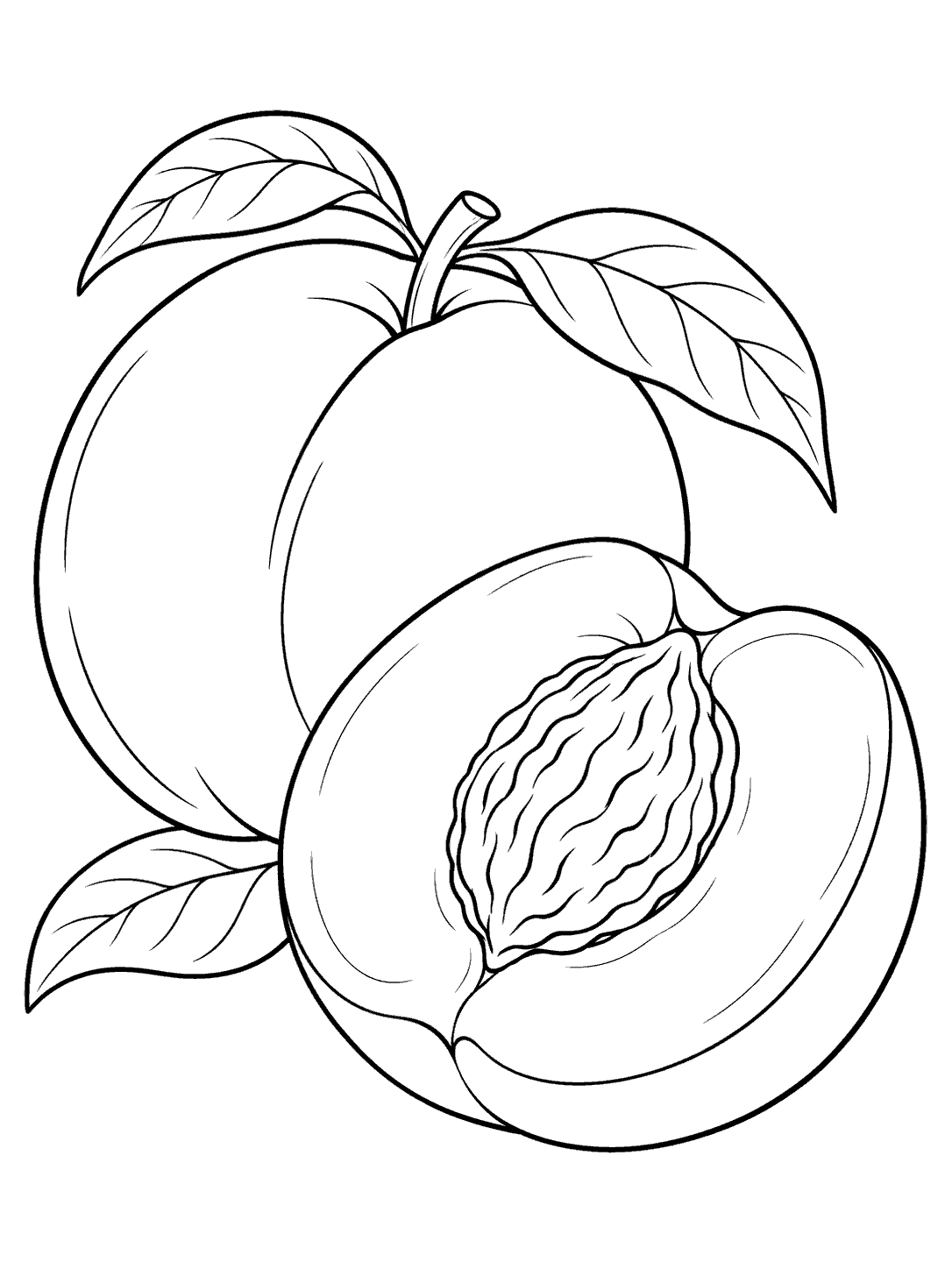 Black-and-white coloring page showing a whole peach with leaves behind a halved peach and its prominent pit.