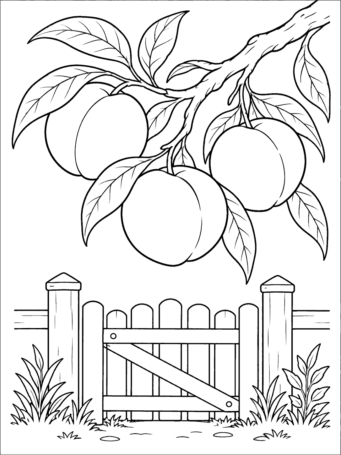Three peaches and leafy branches above a simple garden gate.