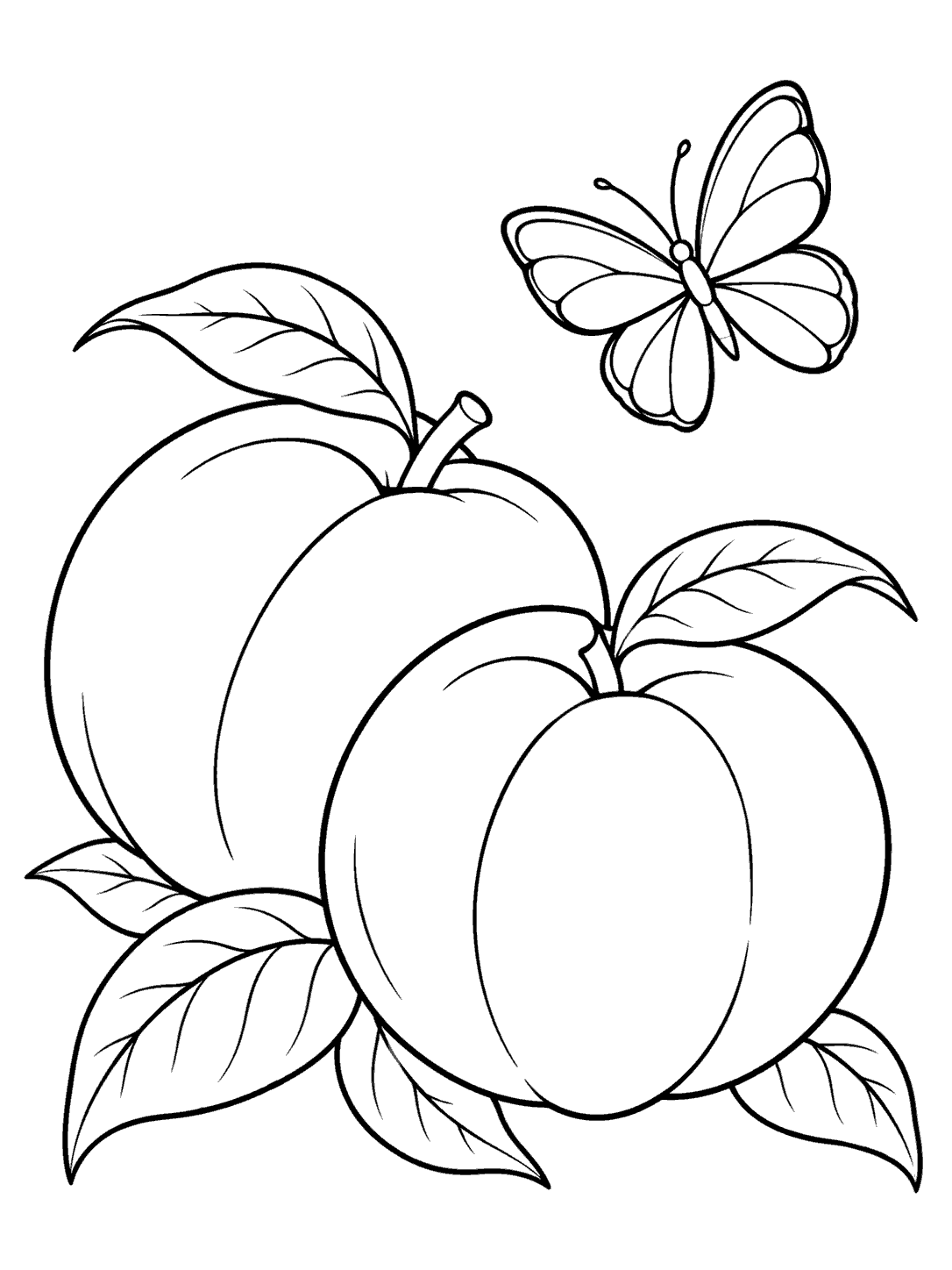 A broad-winged butterfly above two large peaches with leaves, drawn in clean black outlines.