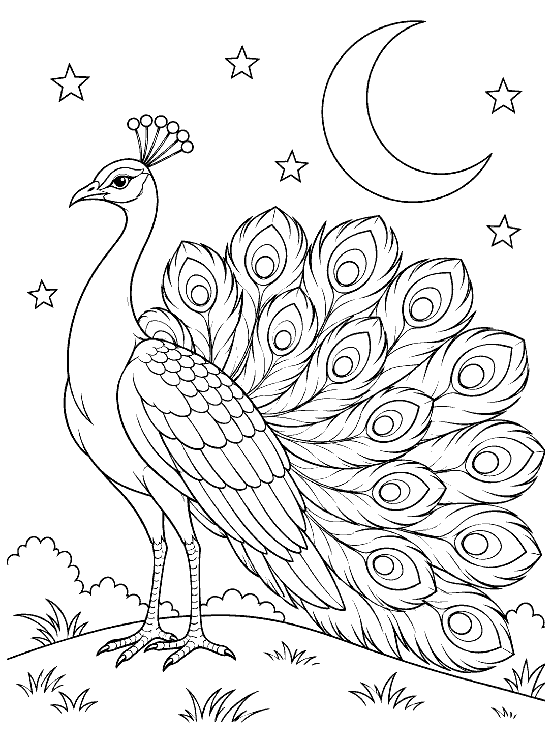 Peacock on a low hill with a gently spread tail, crescent moon, and outlined stars