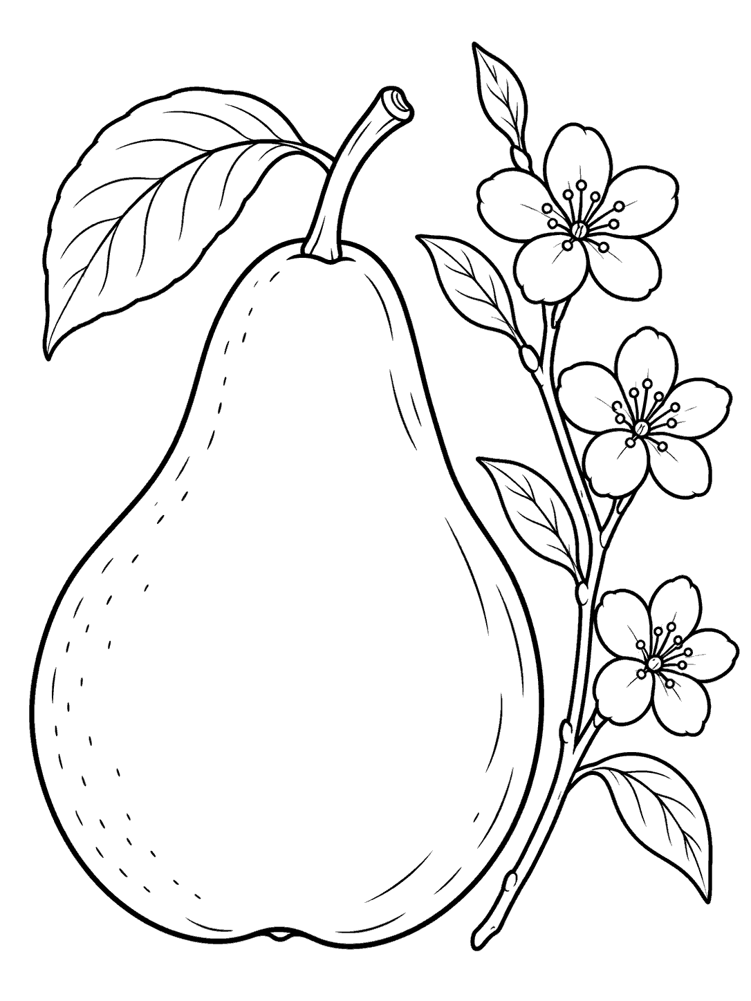 Large pear beside a twig with three blossoms and leaves in a coloring page
