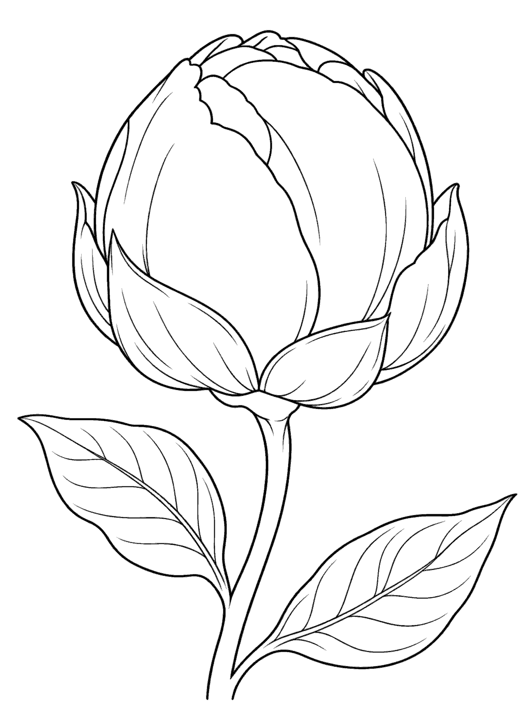 Black-outline peony bud coloring page with two leaves on a curved stem.