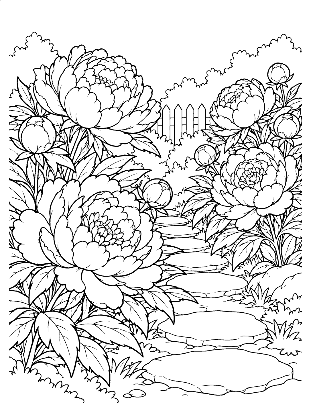 Peony coloring page with two flowering bushes beside a stone garden path.