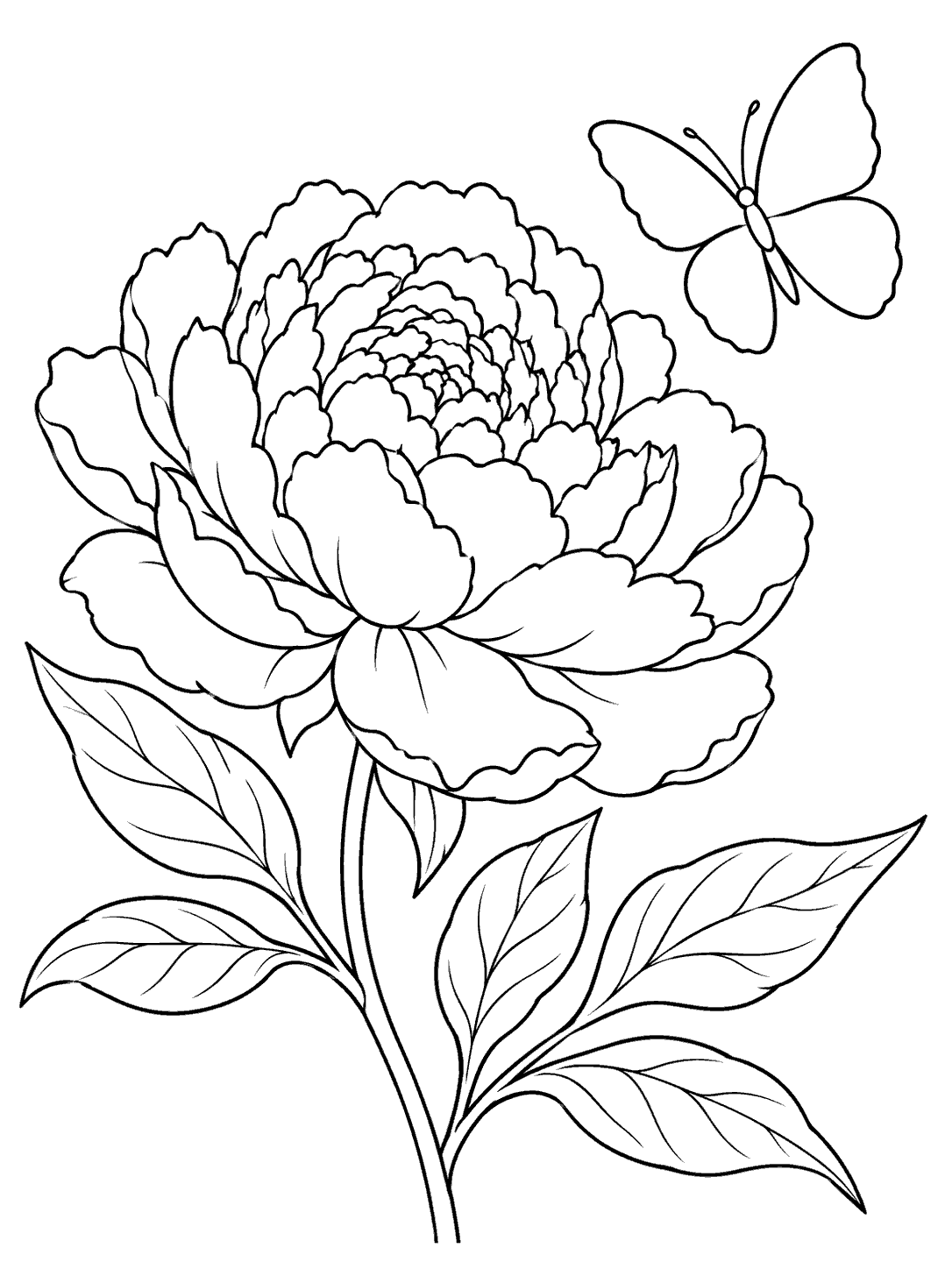 Peony with a butterfly coloring page featuring a large outlined bloom, leafy stem, and unpatterned butterfly.