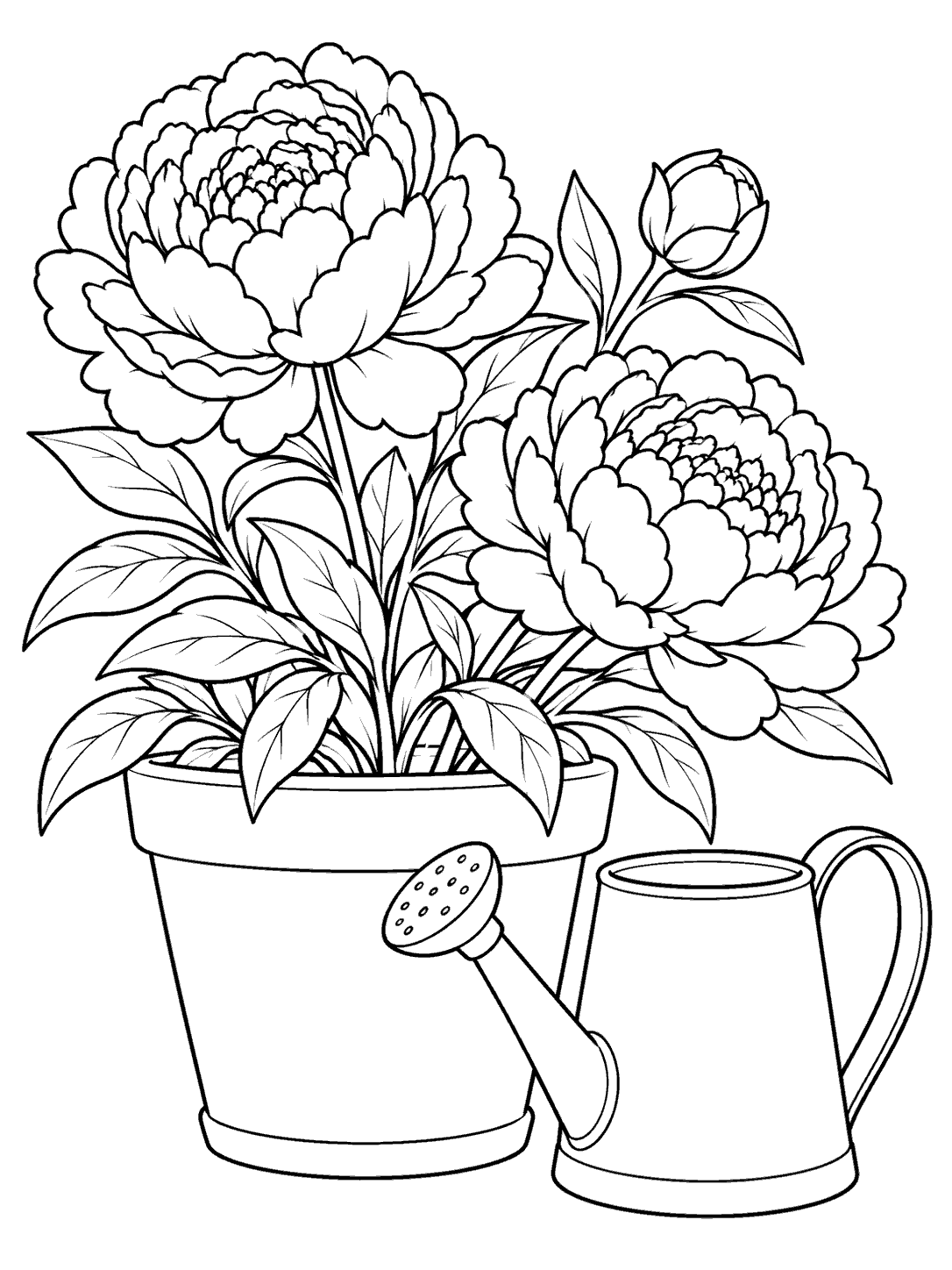 Black outline coloring page showing two open peony blooms and a bud in a pot beside a watering can with its handle and spout visible.