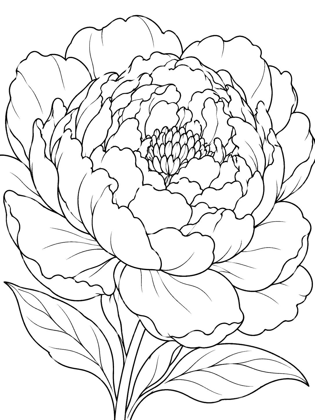 Black line-art coloring page of a large peony bloom with layered petals, a central cluster, and leaves.
