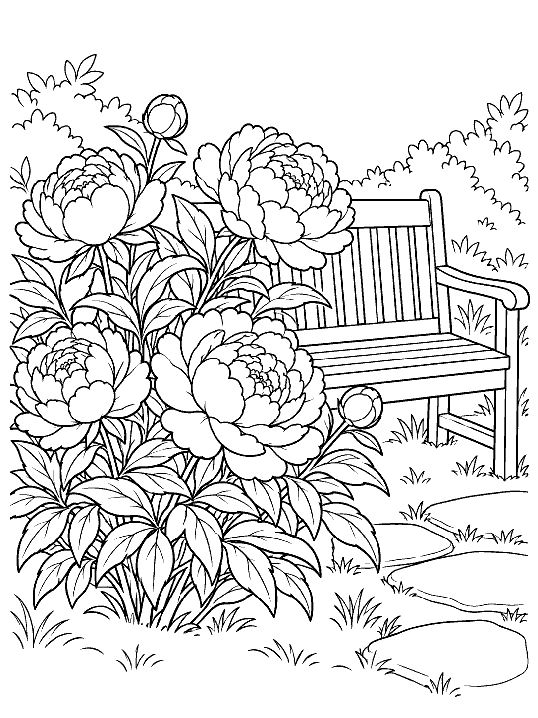 Black-and-white coloring page of a peony shrub with several large blooms beside a slatted garden bench, with bushes and stepping stones in the background.