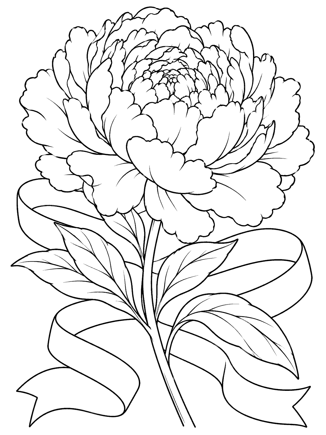 Black outline peony coloring page with leaves and a looping ribbon on white.