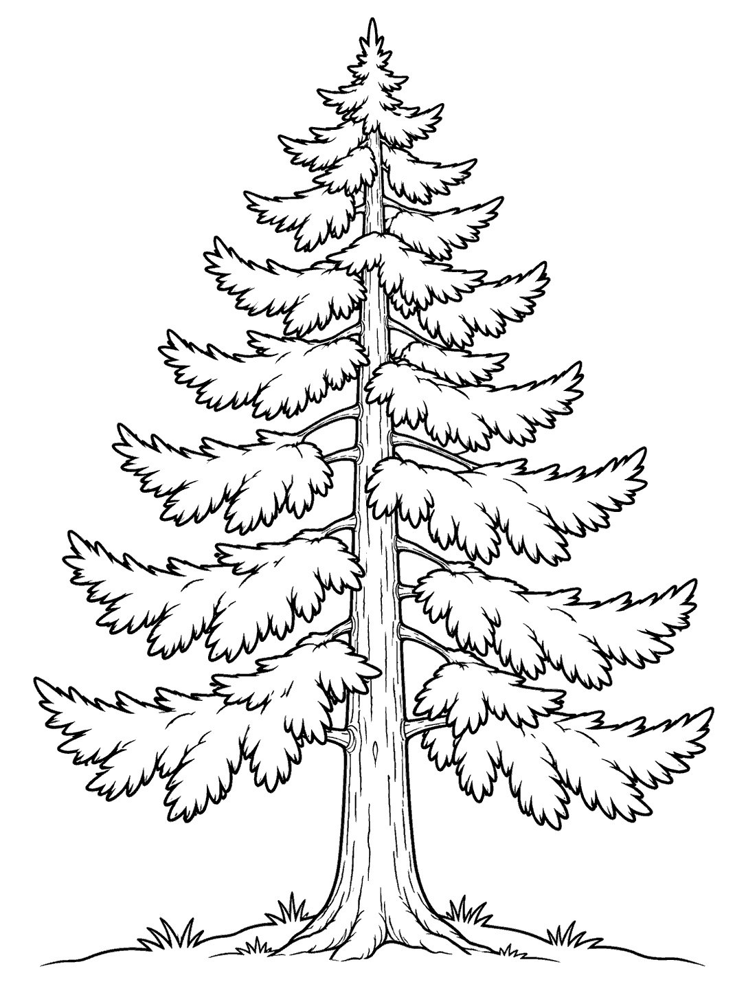 Printable coloring page of a single mature pine tree with layered branches and a small patch of ground.