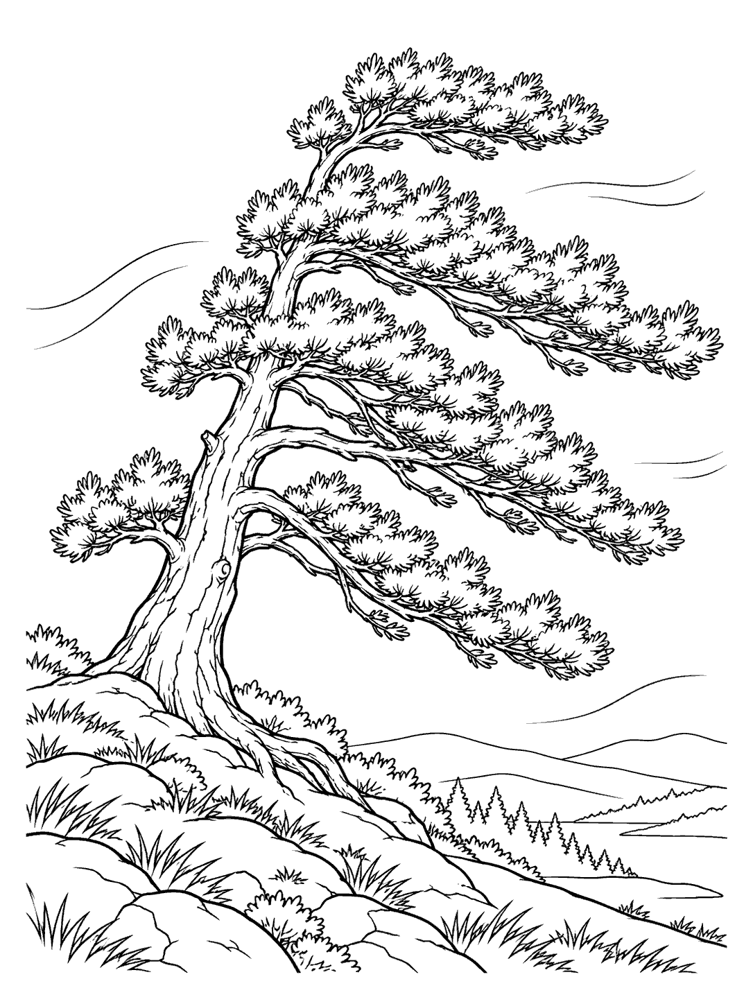 Printable coloring page of a wind-swept pine on a rocky hillside, with distant hills and trees.