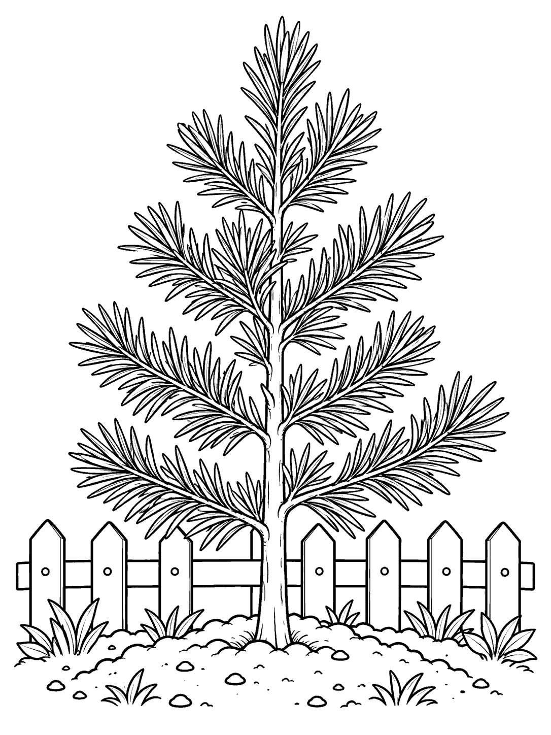 Printable black-and-white coloring page showing a young pine tree beside a picket fence, with a patch of soil and small plants.