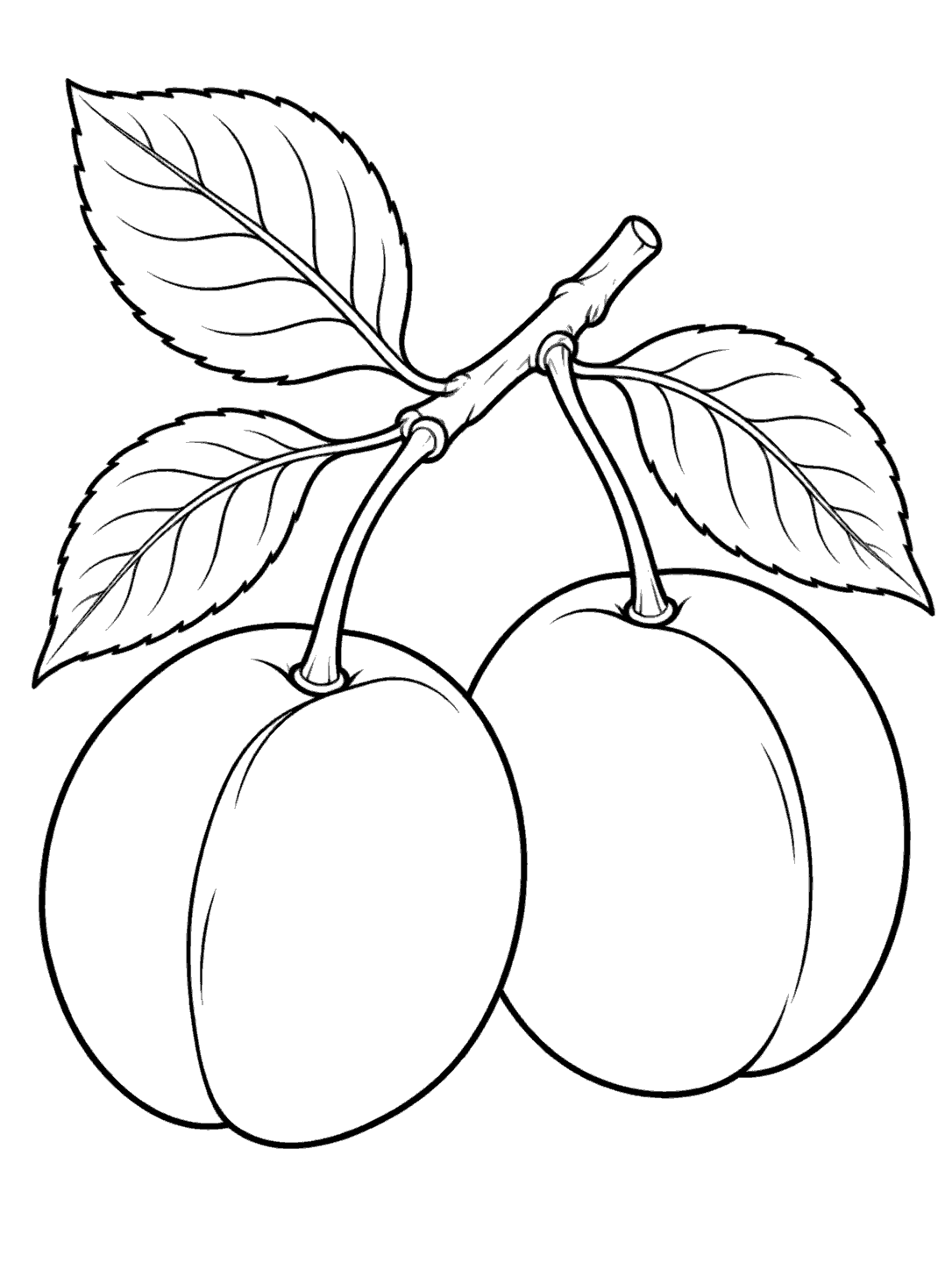 Black-outline plum coloring page with two plums and leaves.