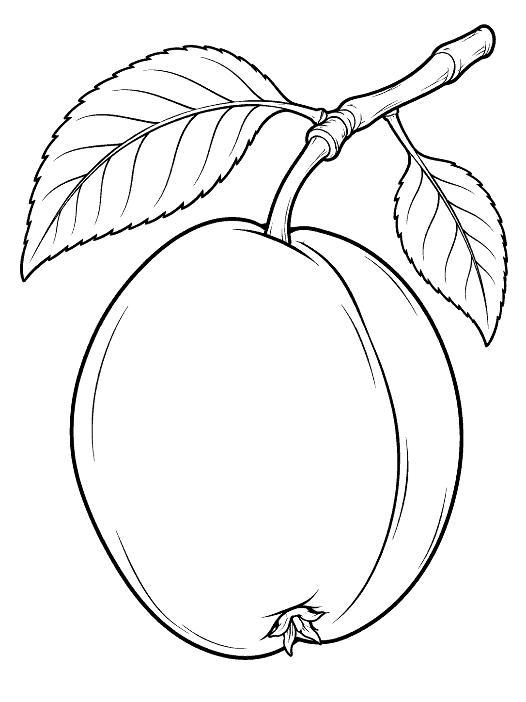 Plum coloring page with one large plum, two veined leaves, and a short branch.
