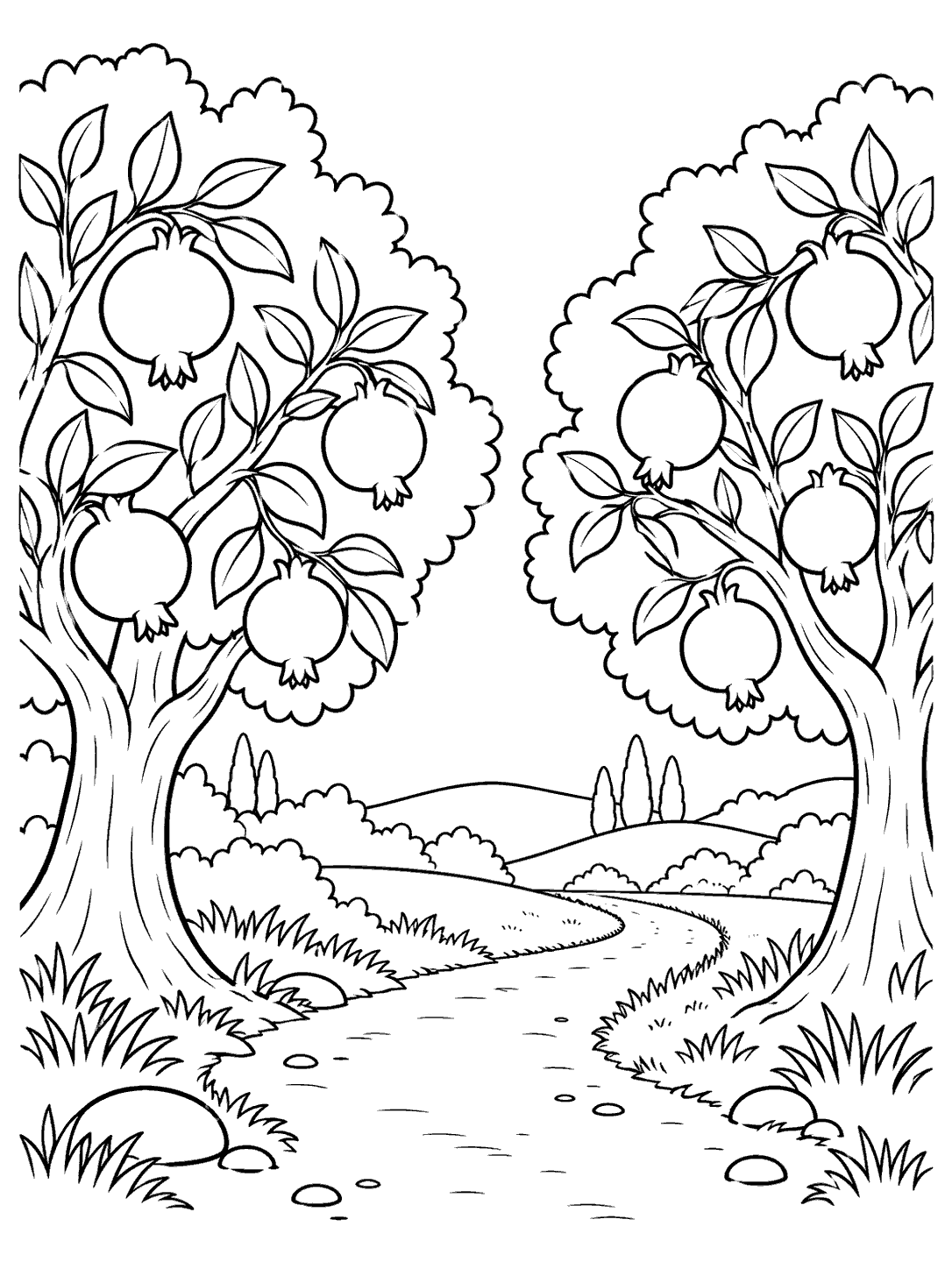 Black and white coloring page showing two broad pomegranate trees with large leaves and hanging fruit on either side of a winding path, with hills and shrubs in the distance.