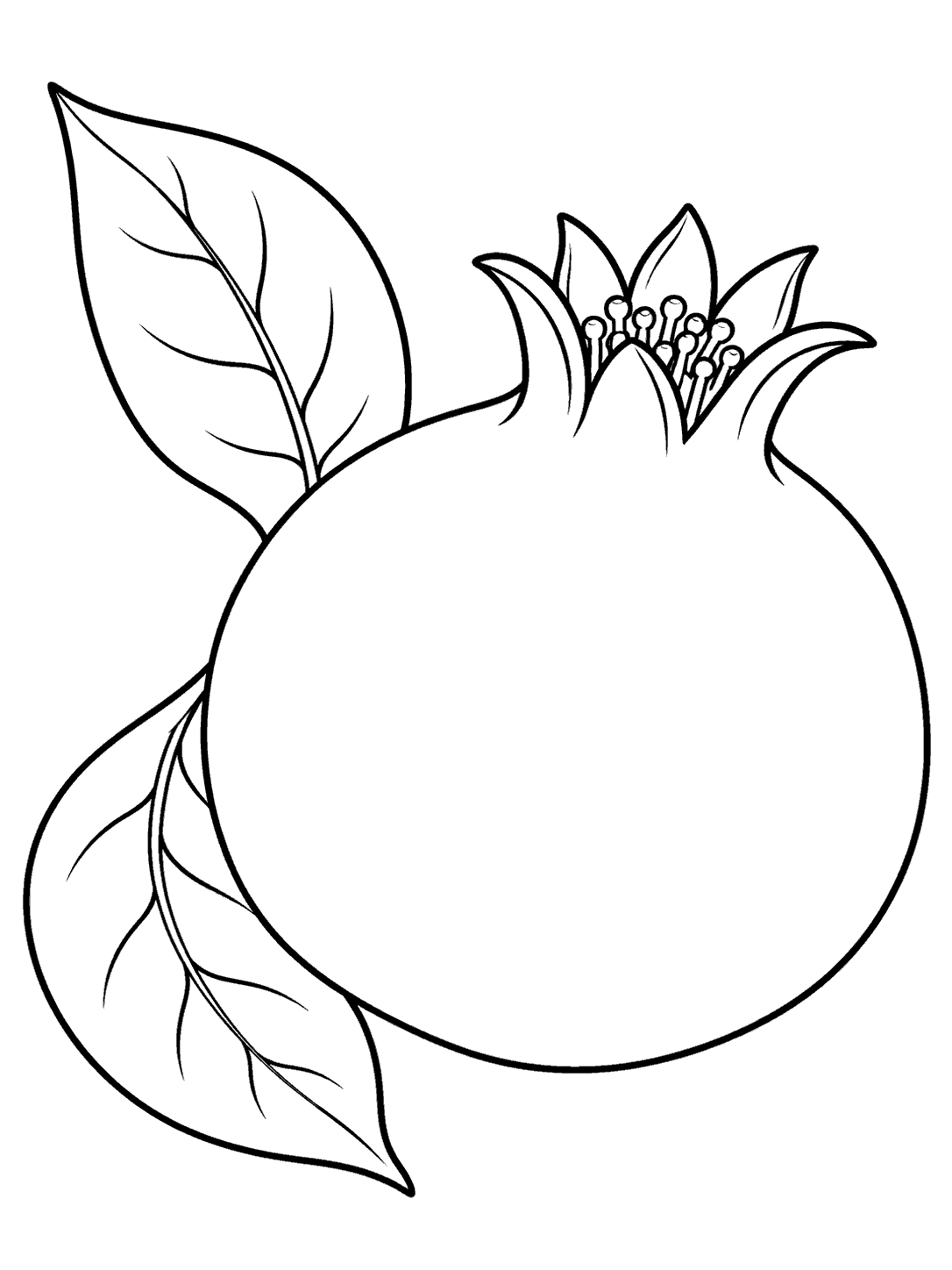 Black outline coloring page of a large plain pomegranate with a pointed crown and two broad leaves on a white background.