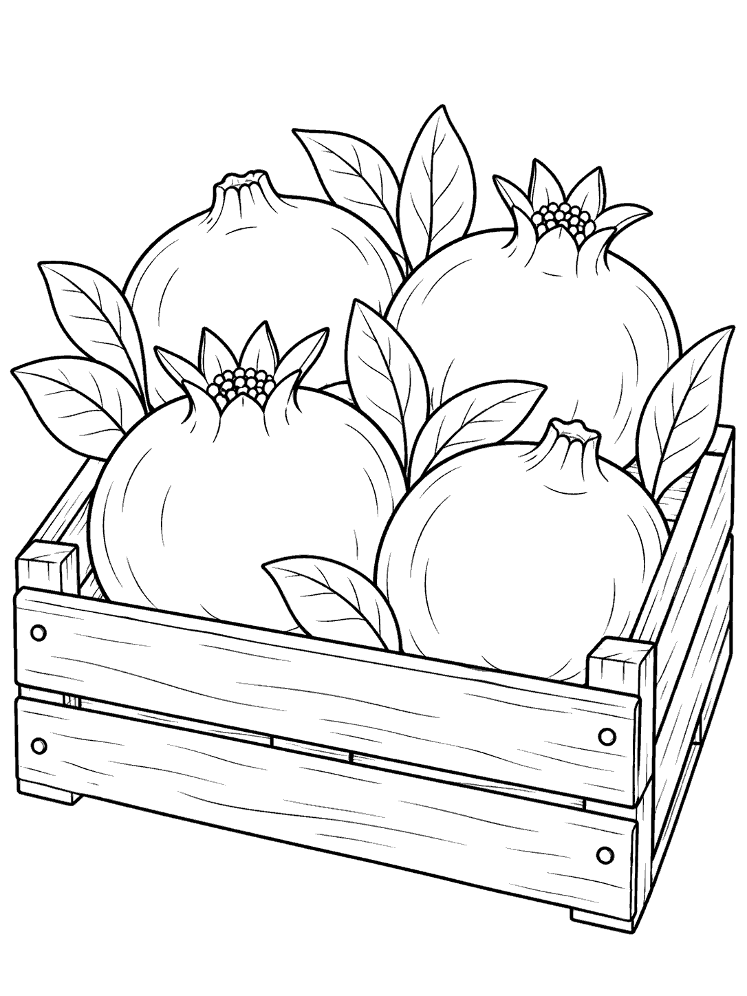 Four whole pomegranates with leaves arranged in a wooden harvest crate, drawn in black outlines on white.