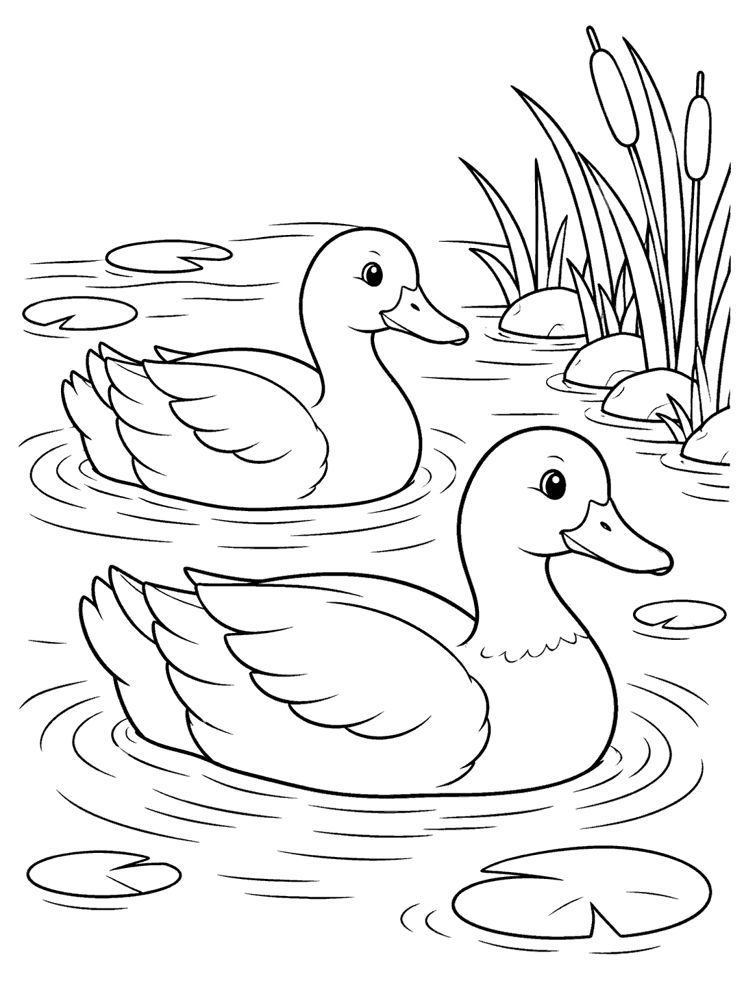 Portrait pond coloring page with two ducks swimming among ripples, reeds, and lily pads