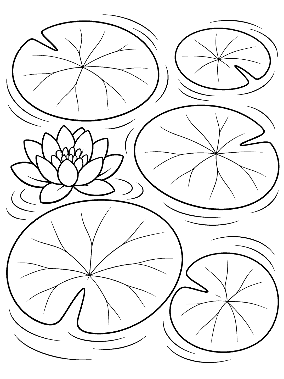Black-outline coloring page with five veined lily pads and one layered flower floating on pond water.