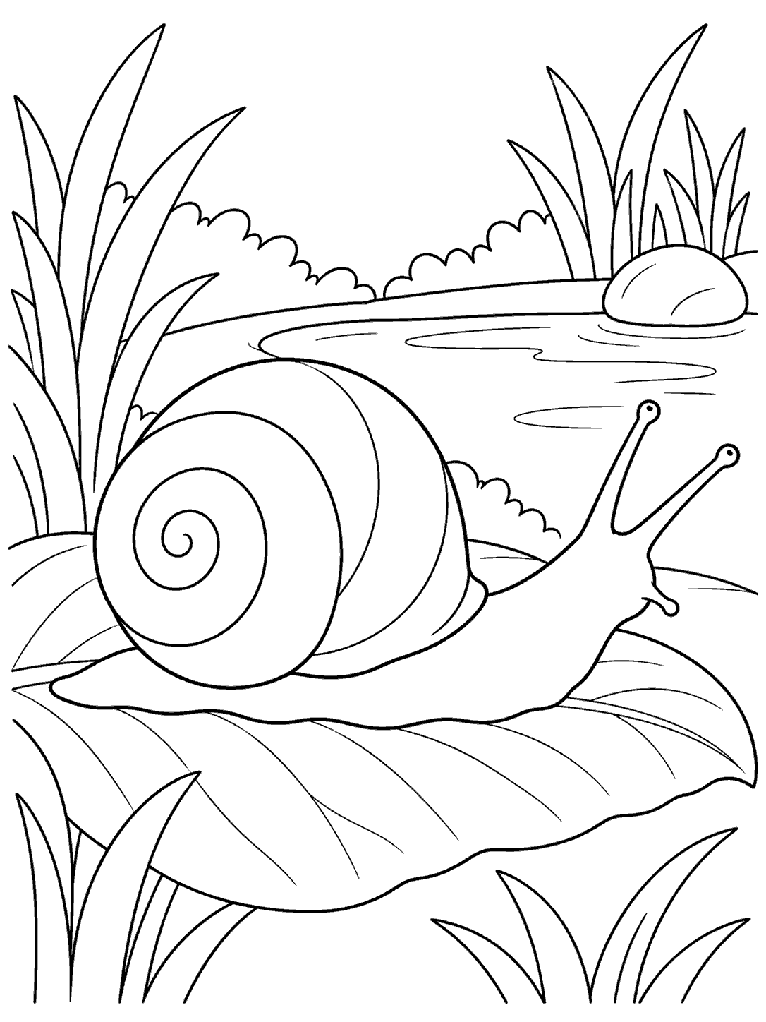 Pond coloring page with a large spiral-shelled snail on a leaf beside water, reeds, and a pebble.