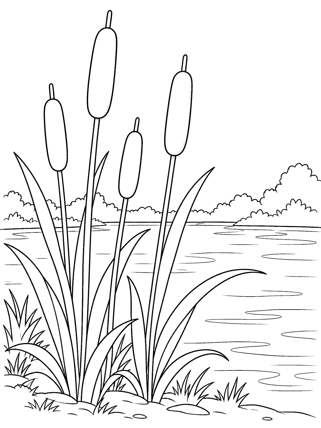 Black-outline coloring page showing four cattail stems with broad leaves along a pond shore, with water and low shoreline plants behind them.