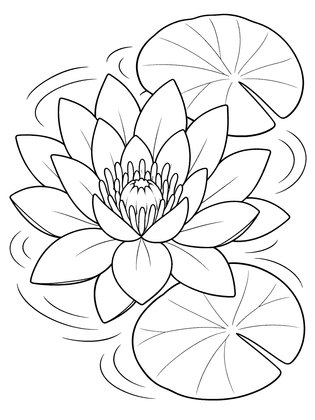 Black-outline pond coloring page with a large water lily bloom between two round lily pads and quiet ripples.