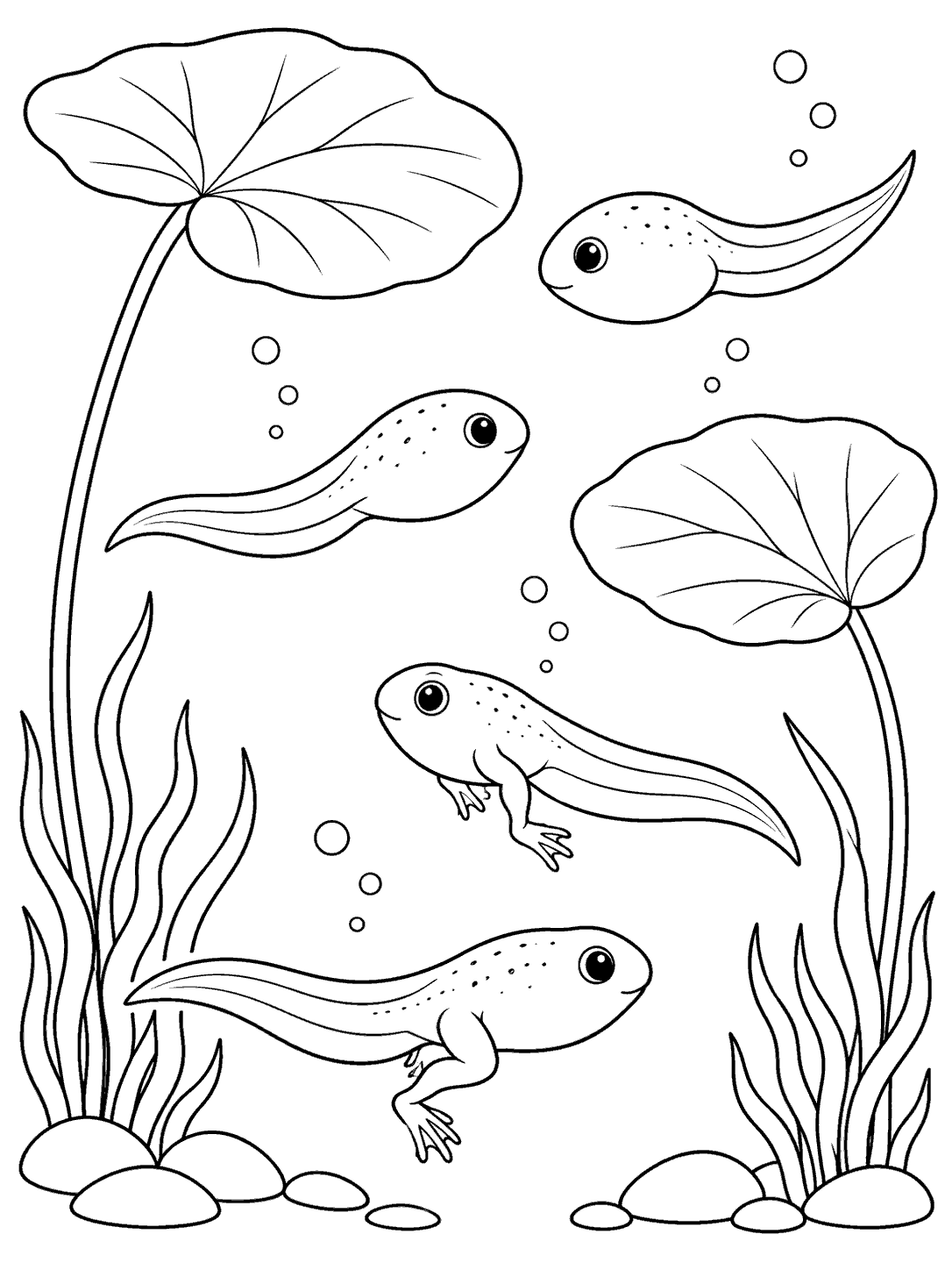 Black-outline pond coloring page with four tadpoles, two broad aquatic leaves, bubbles, plants, and stones.
